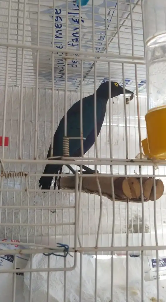 image-14