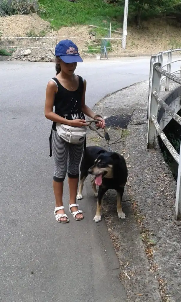 image-18