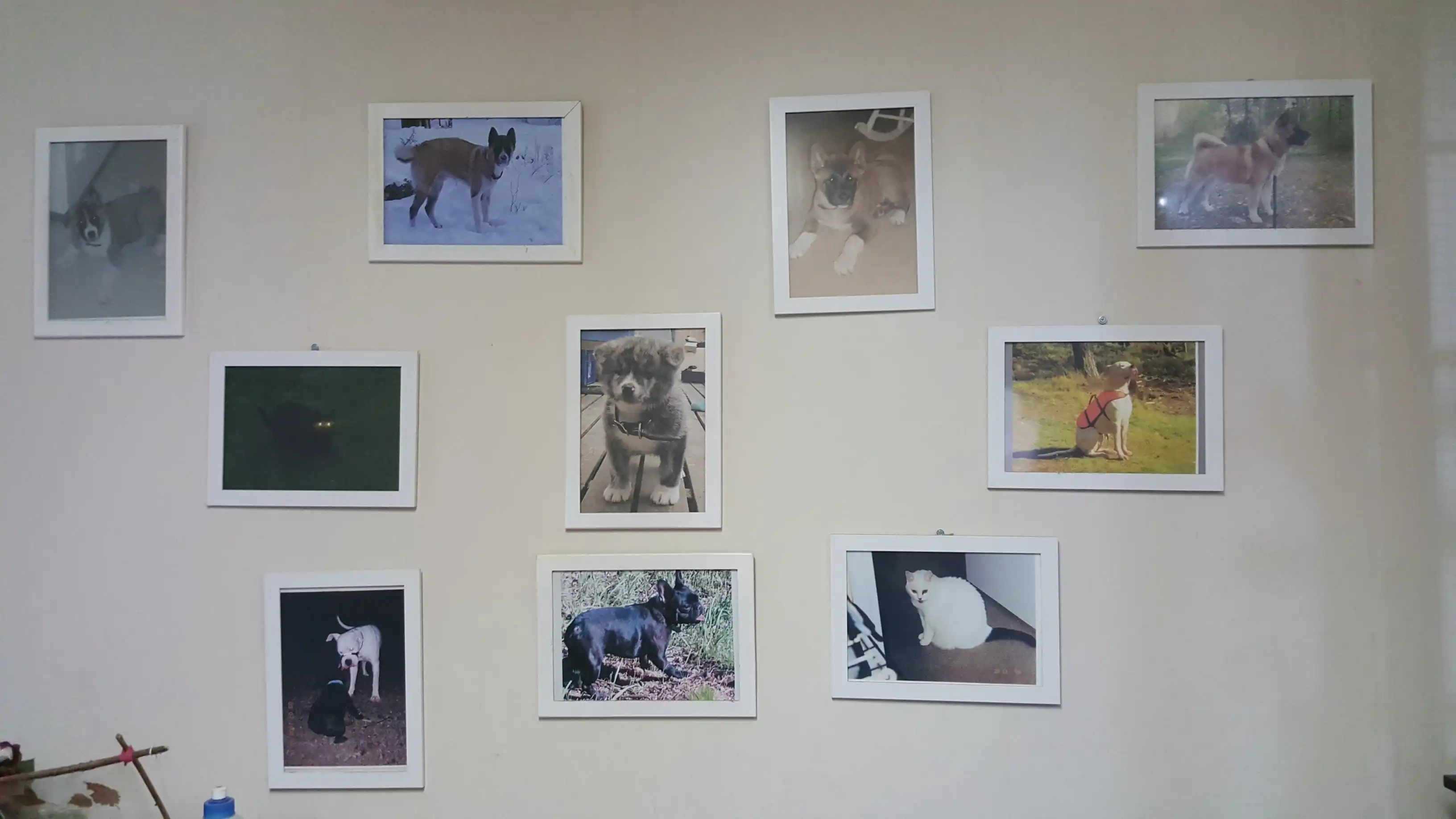 image-6