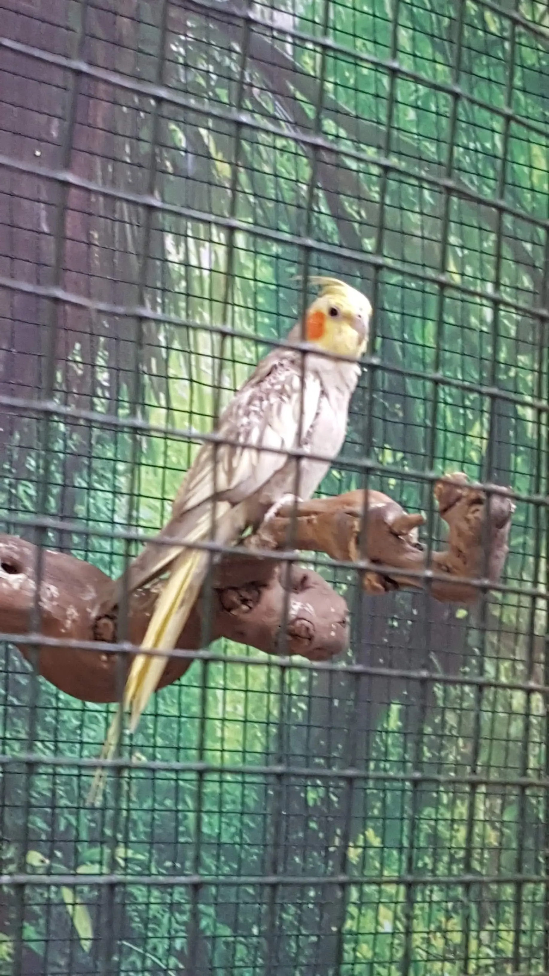 image-3