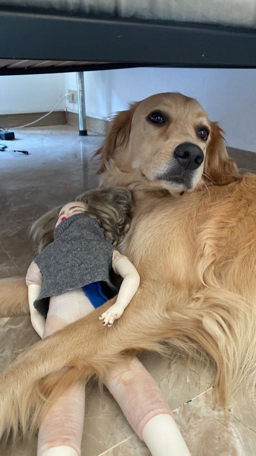image-6