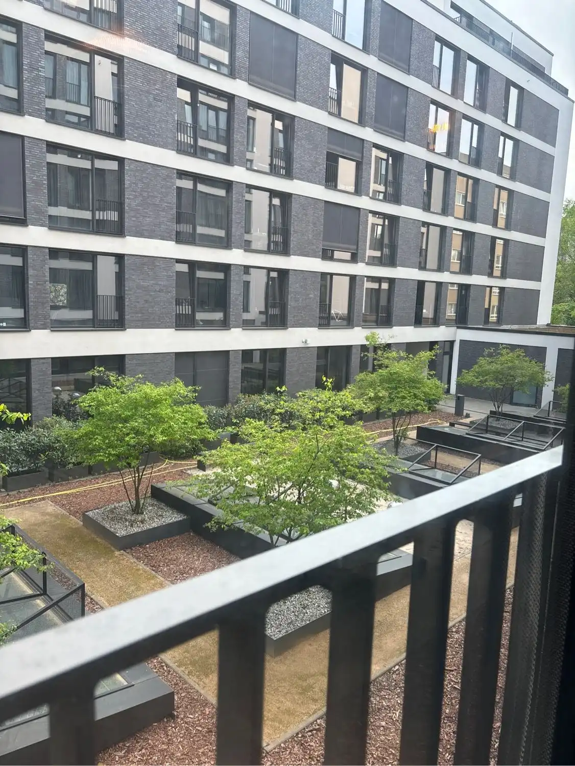 image-7