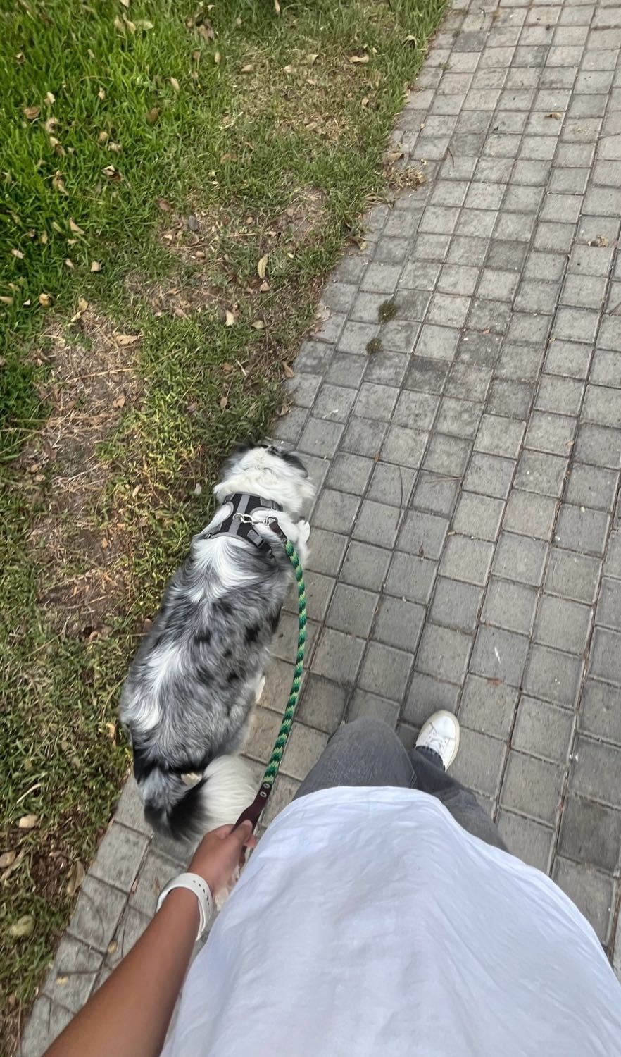 image-8