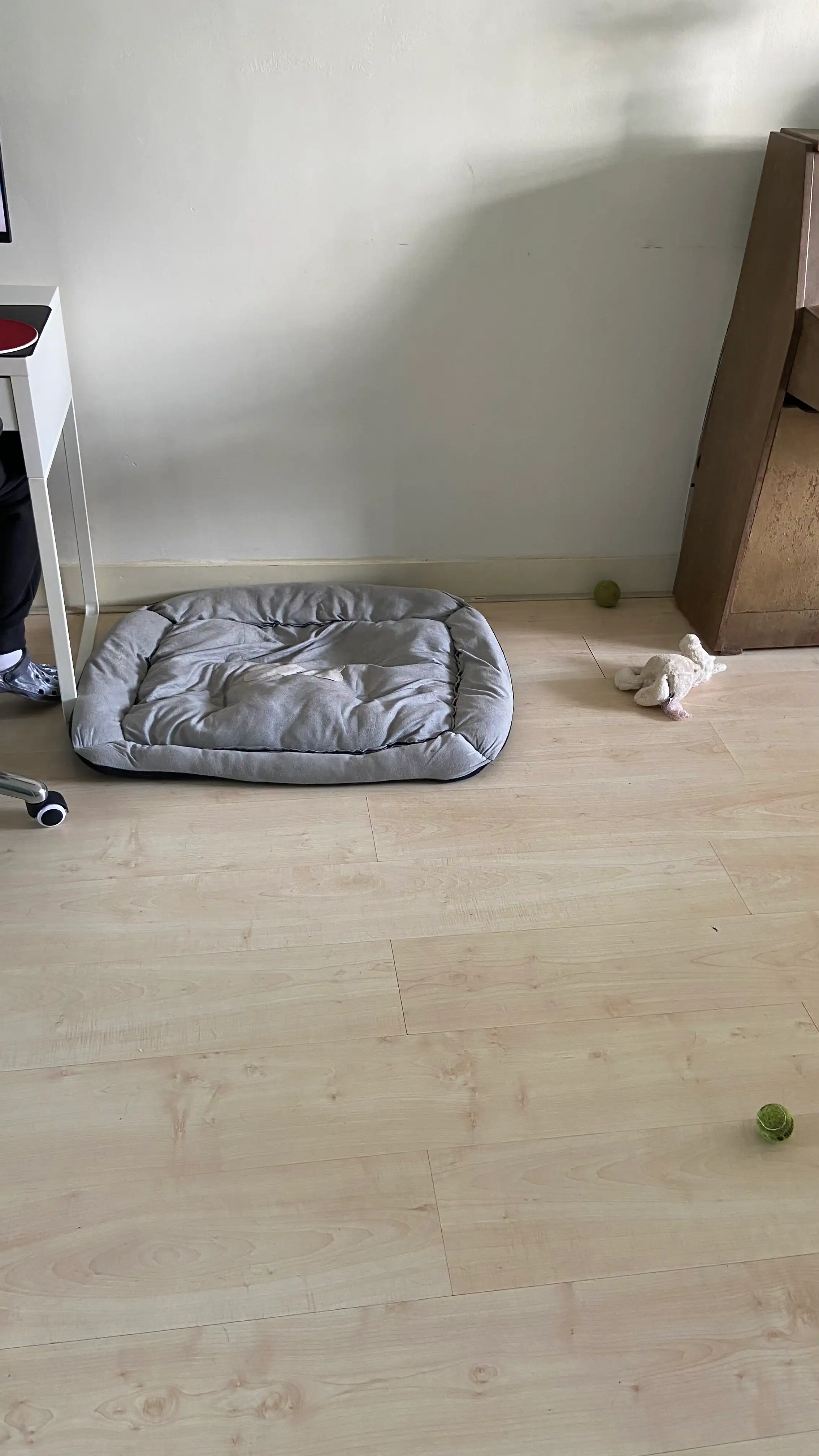 image-16