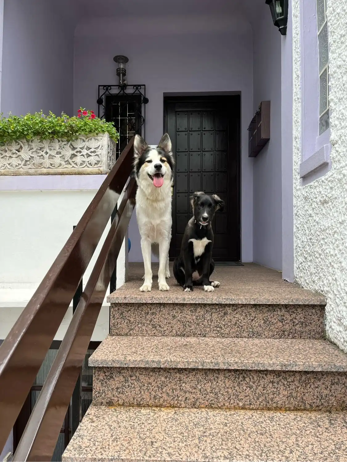 image-11