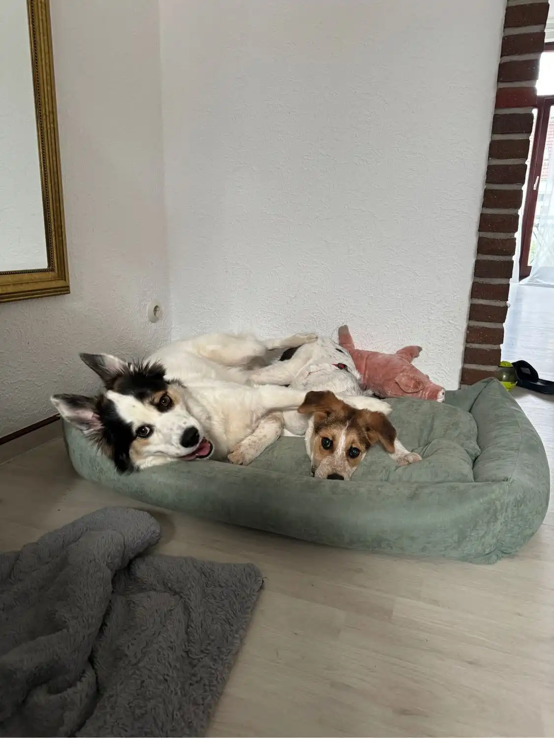 image-7