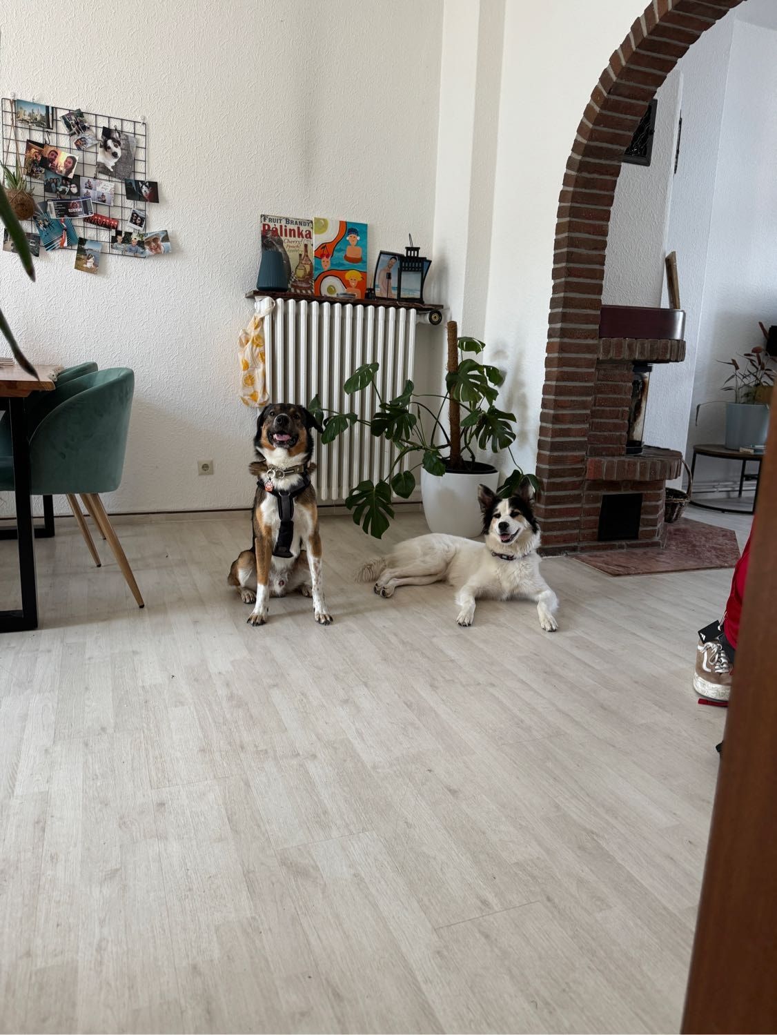 image-6