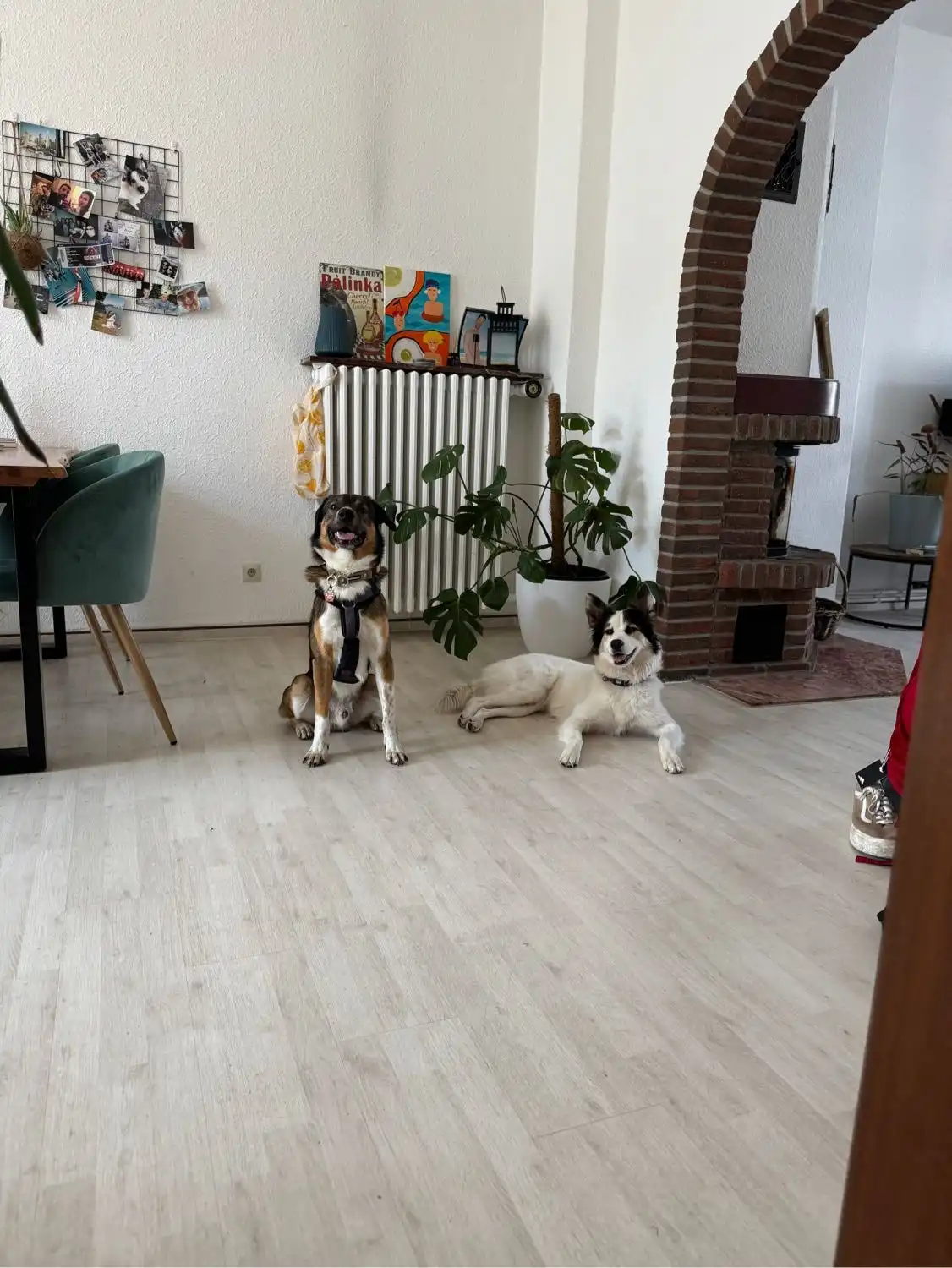 image-6