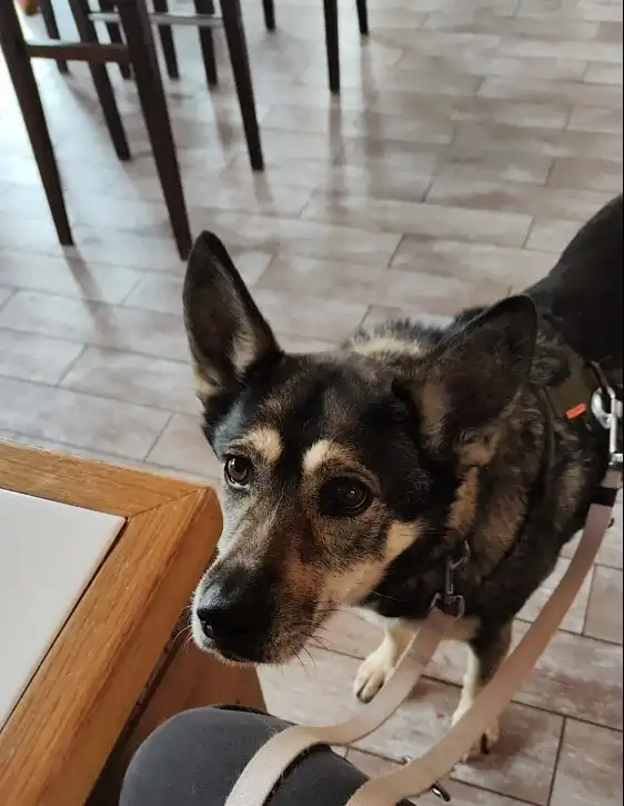 image-12
