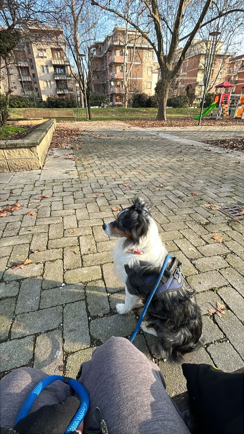 image-13