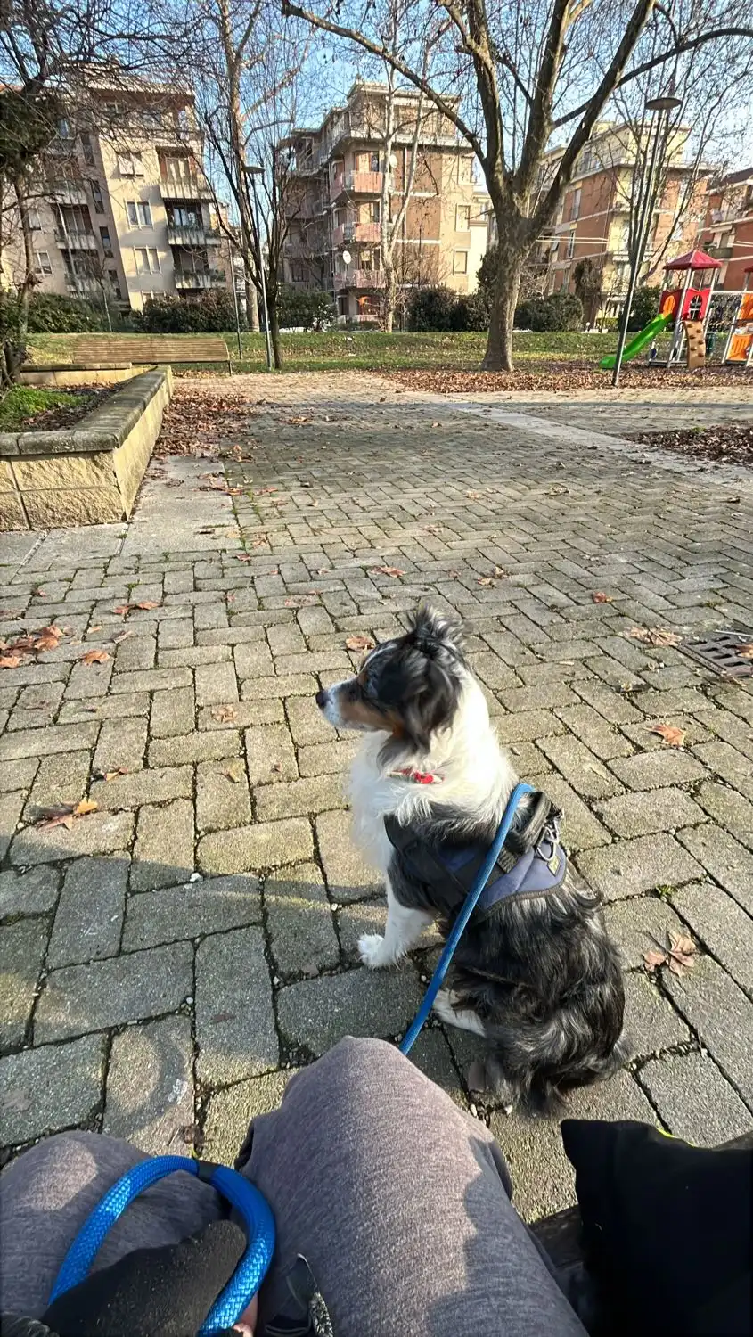 image-13