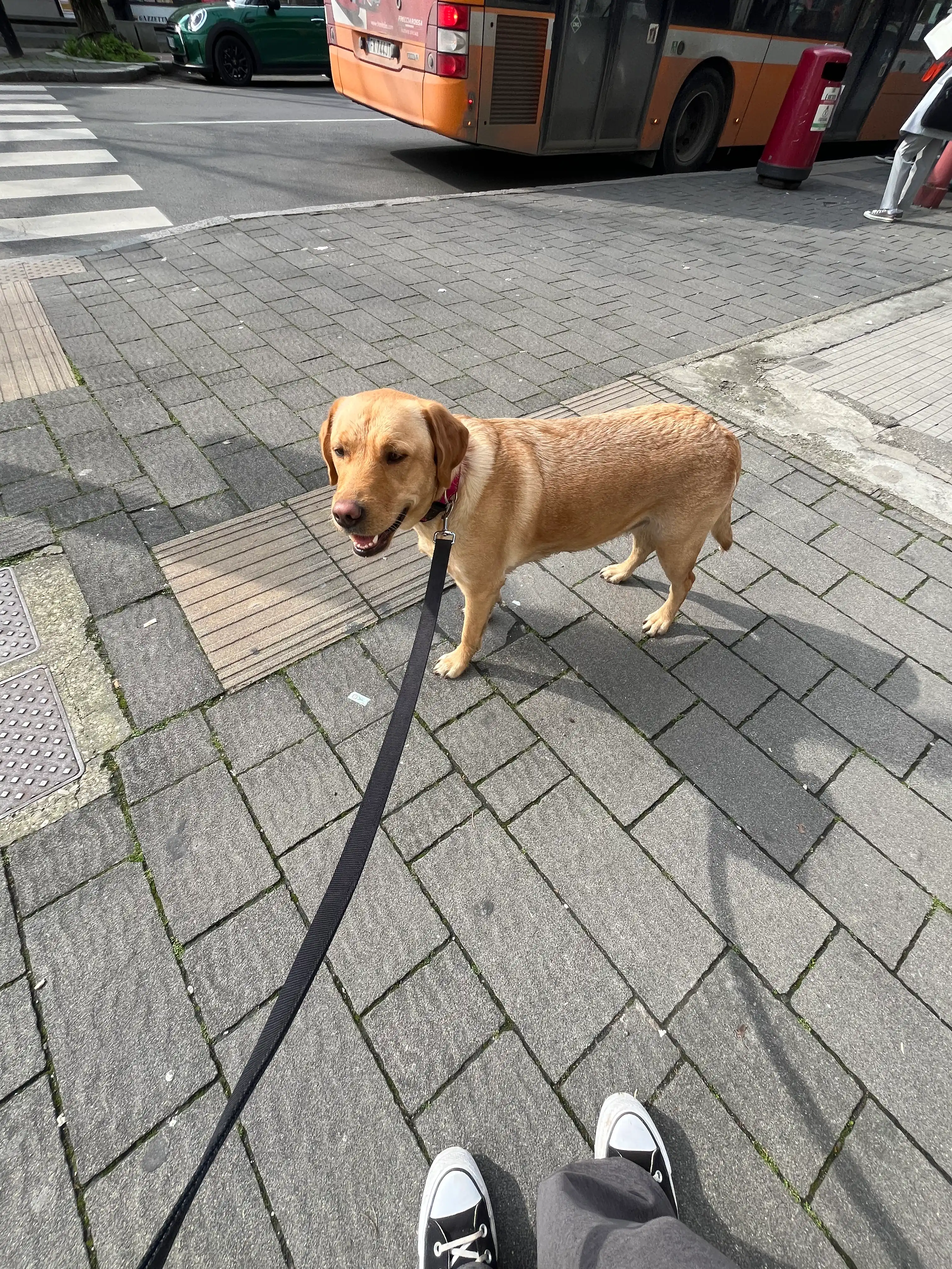 image-16