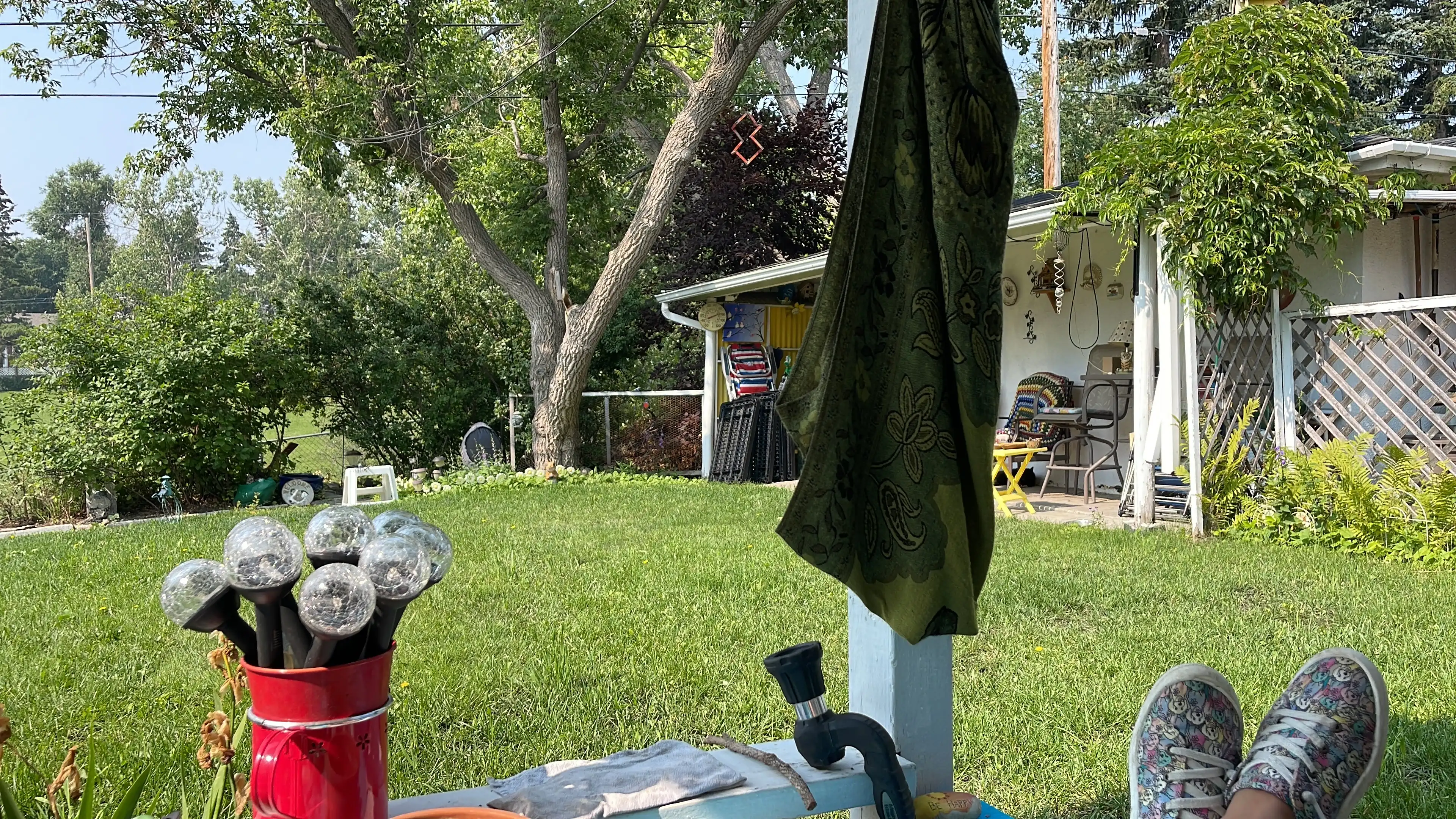 image-19