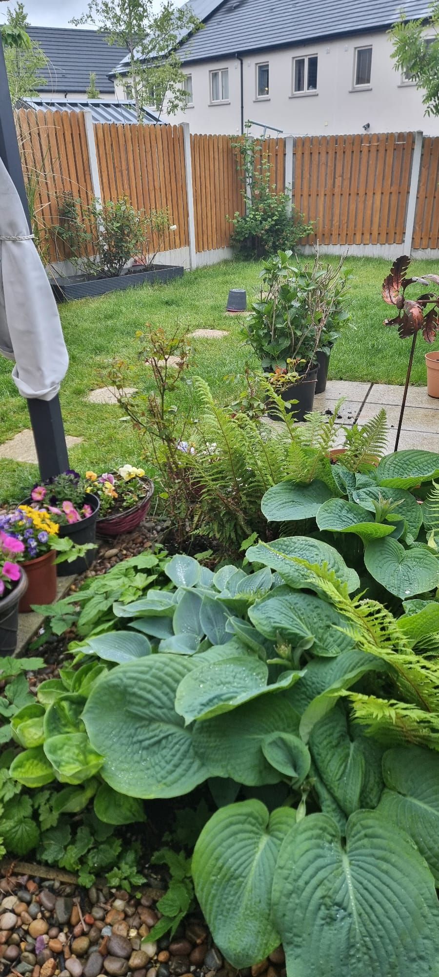 image-16