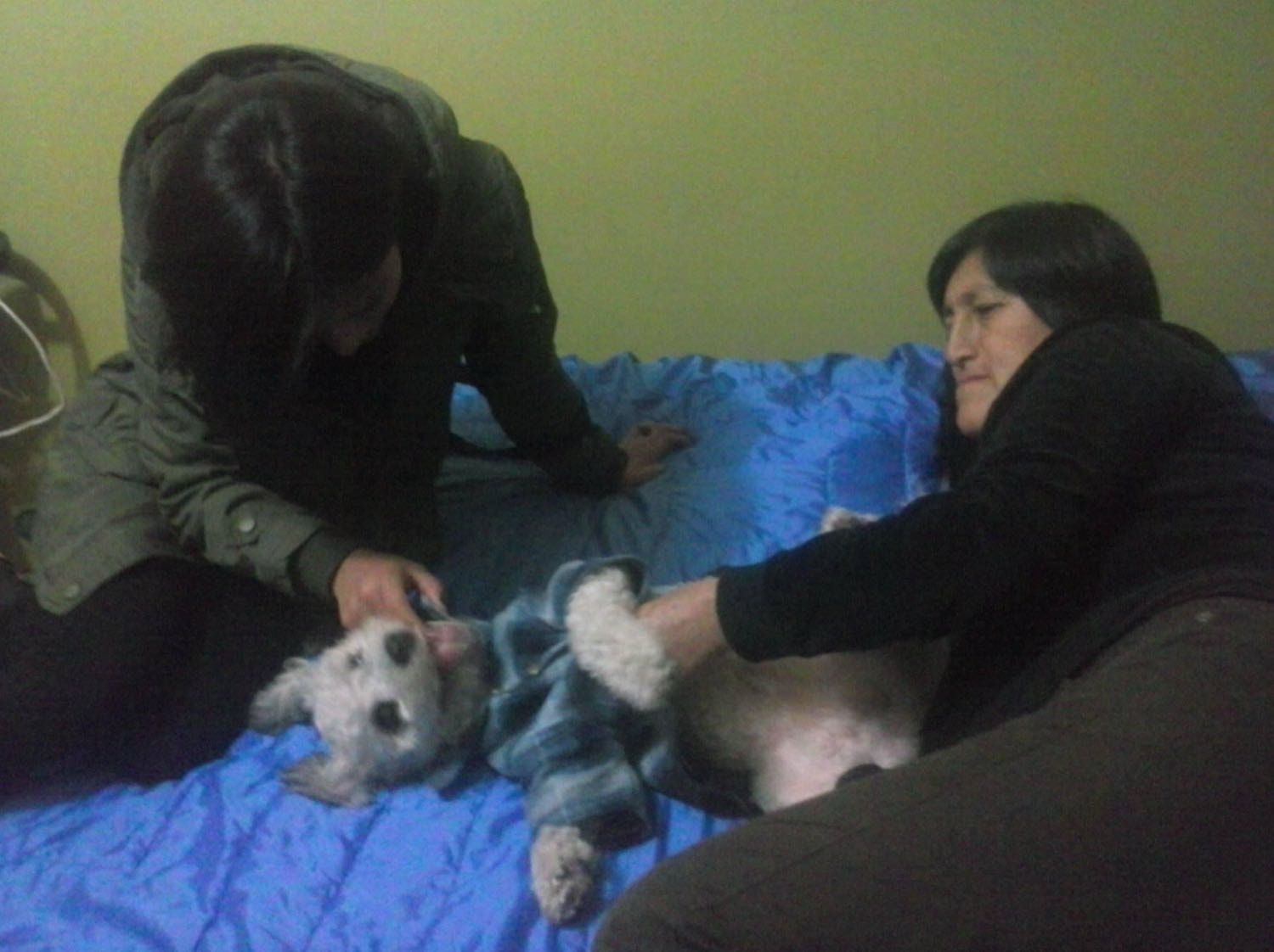 image-10