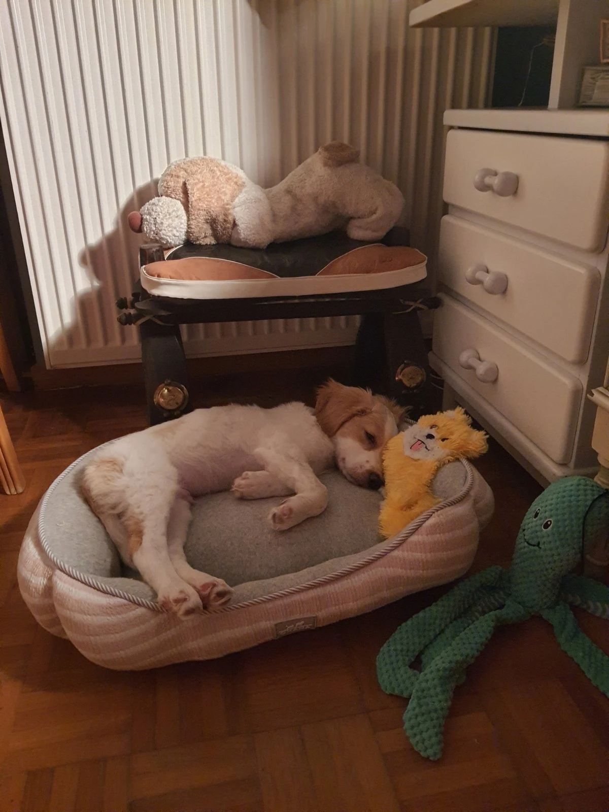 image-6