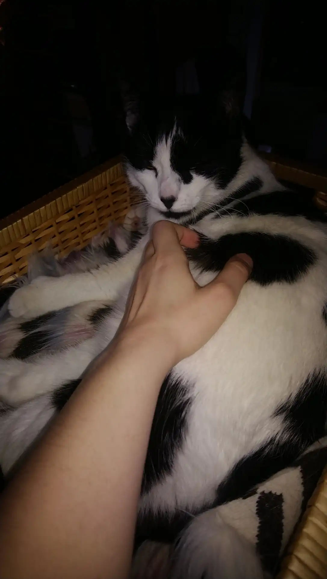 image-7