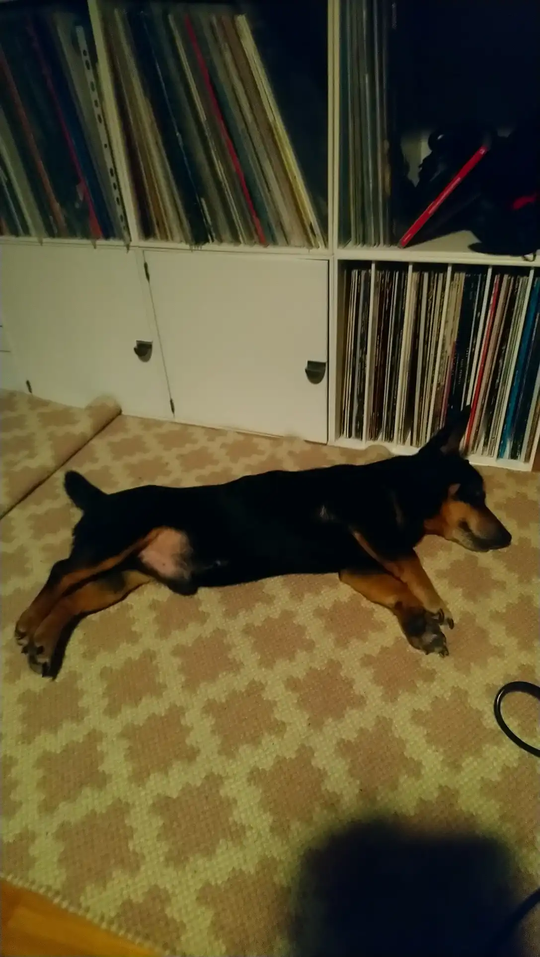 image-5