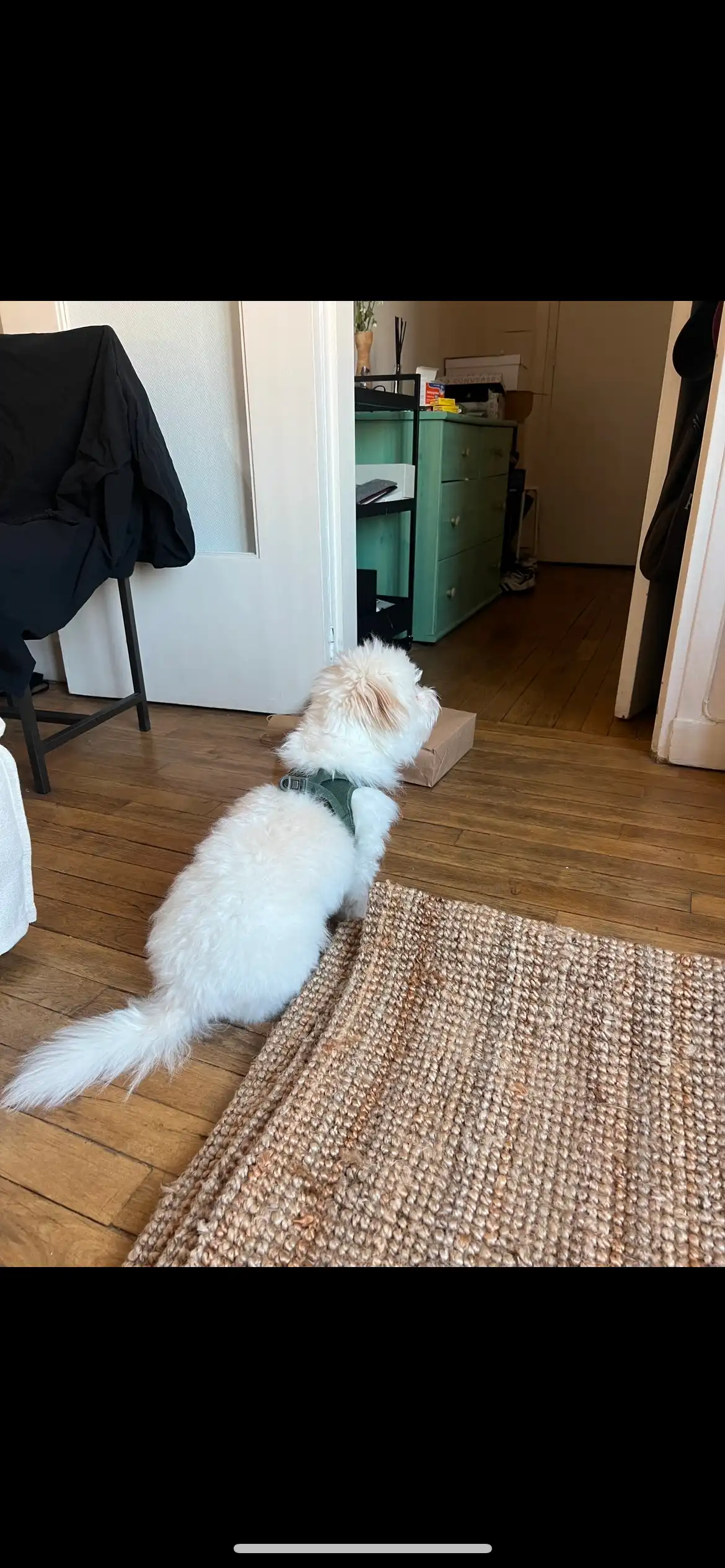 image-19