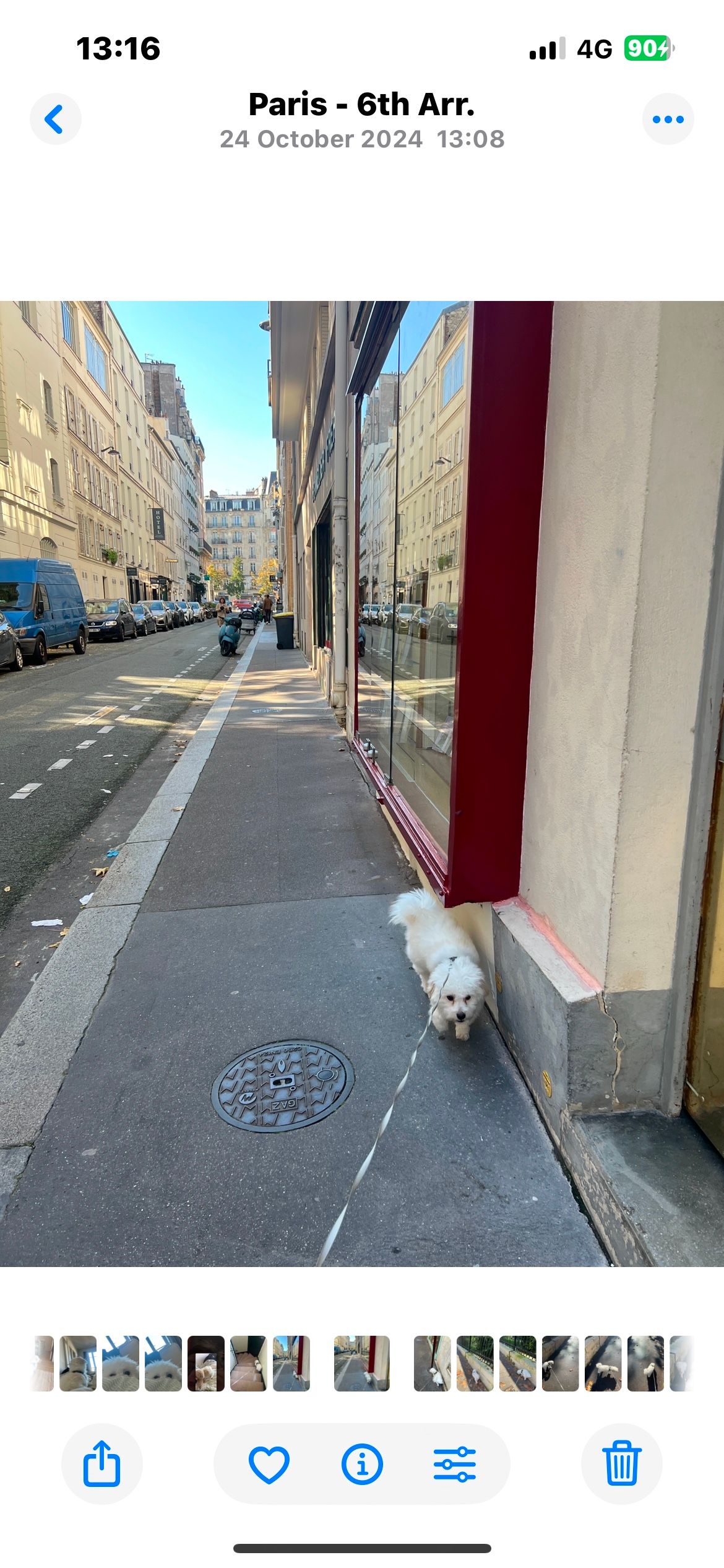 image-20