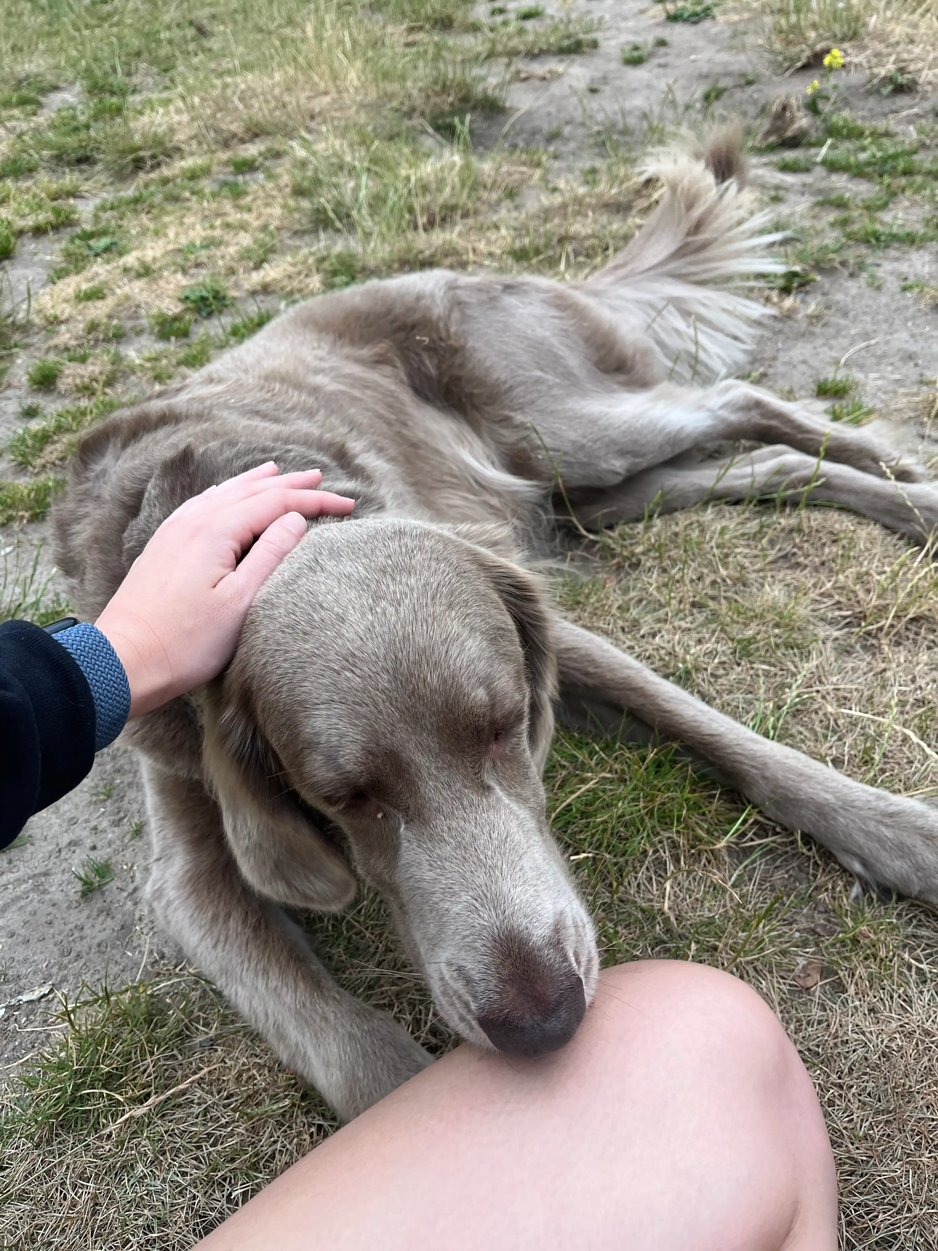 image-7