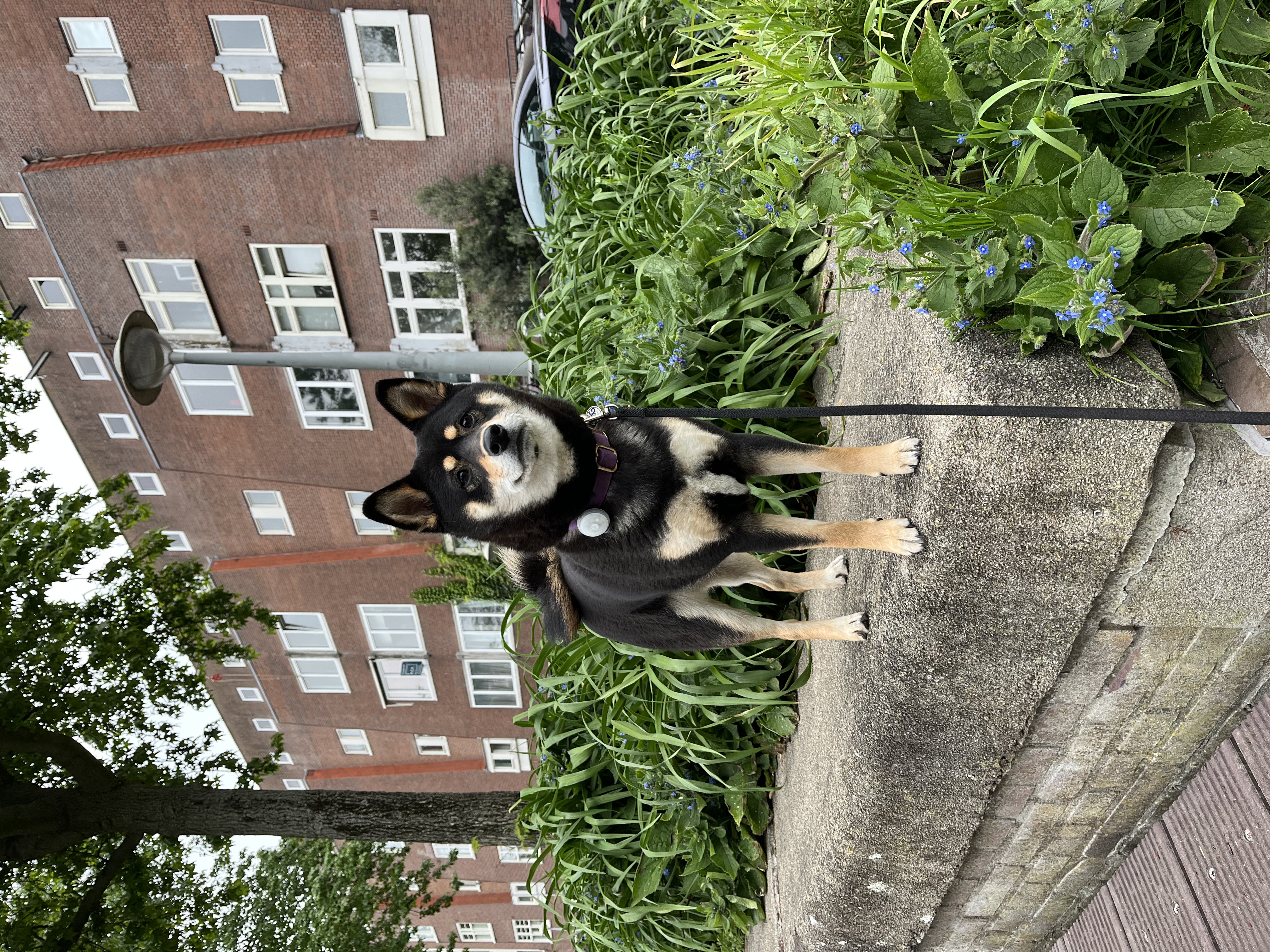 image-7