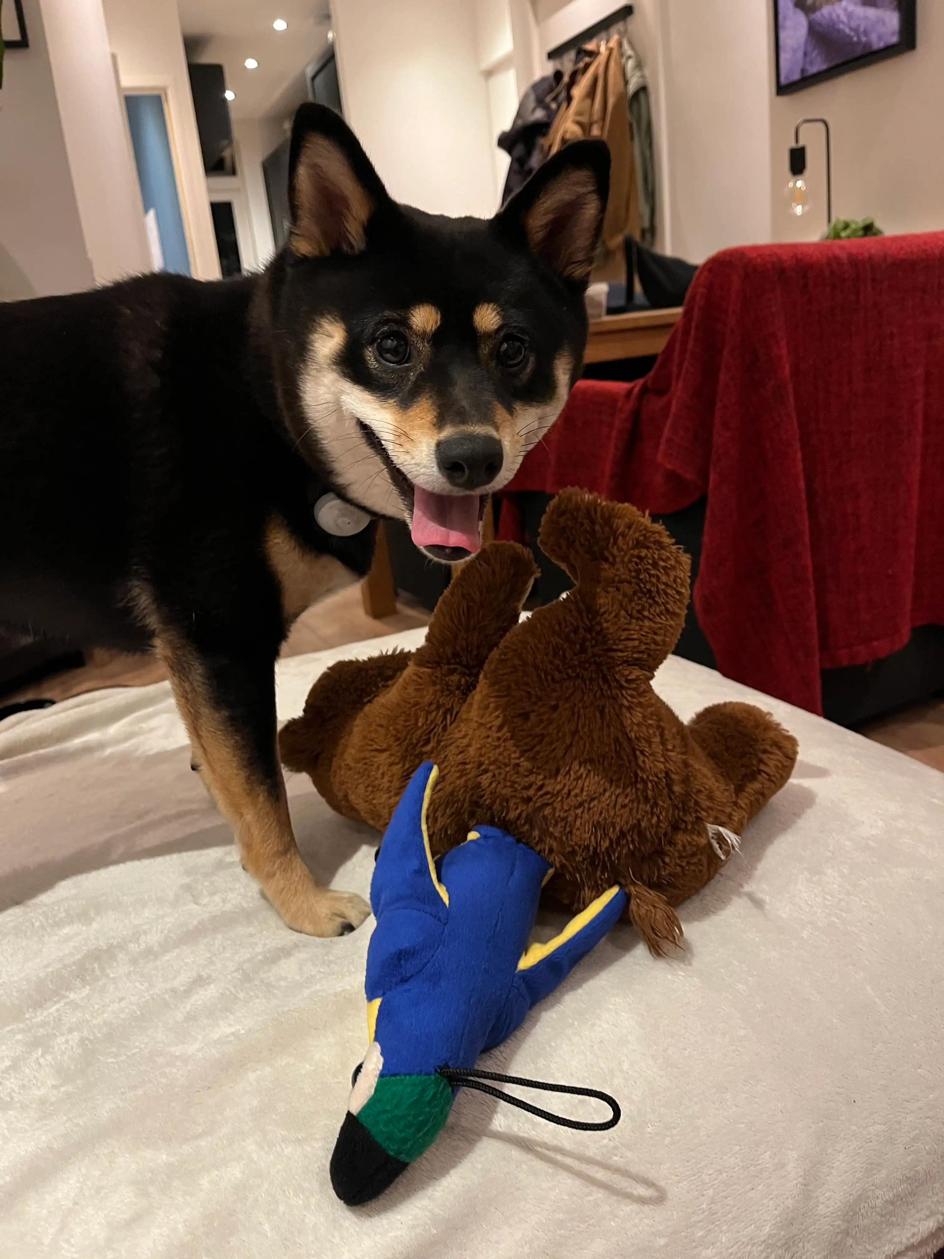 image-20
