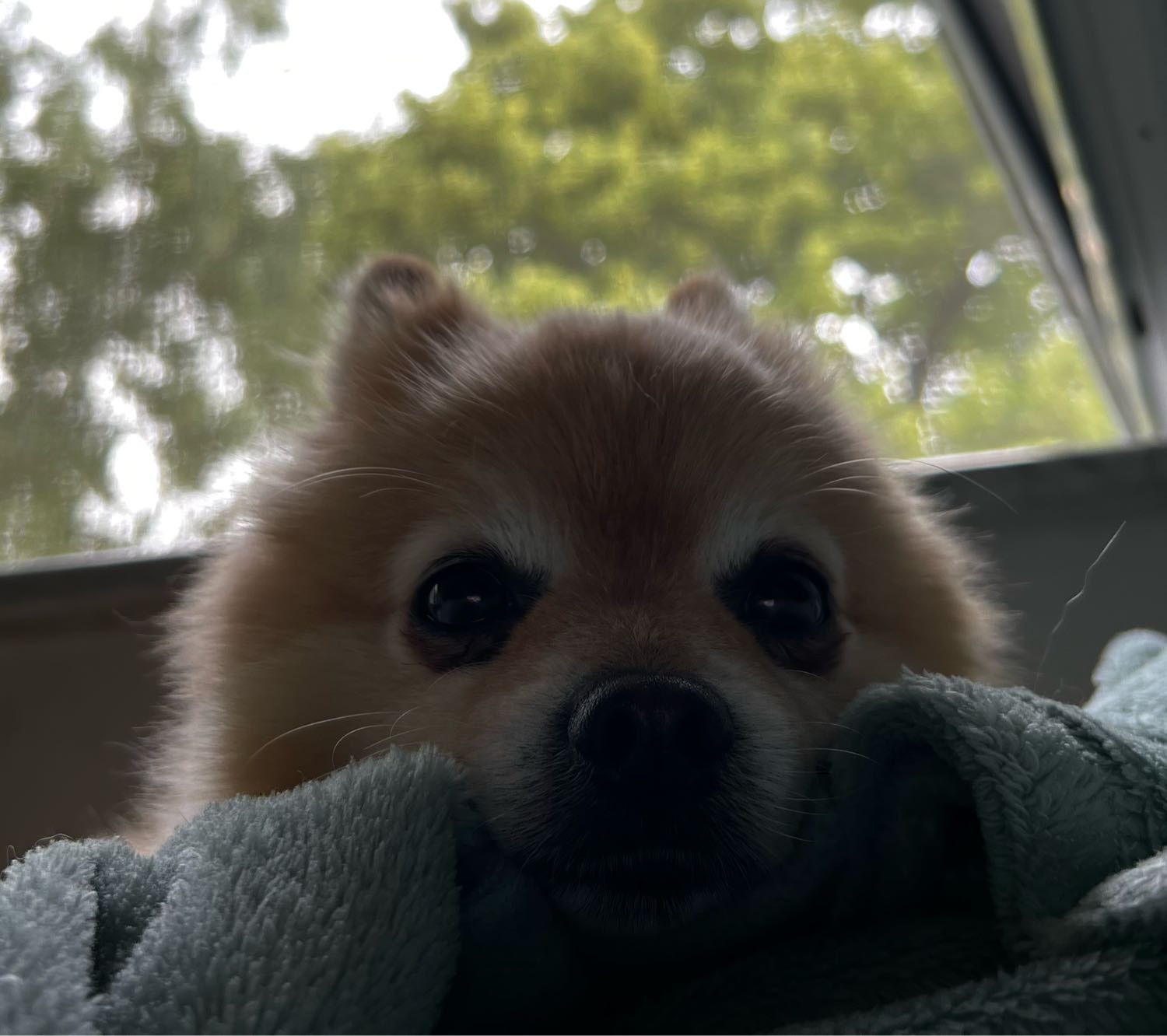 image-6