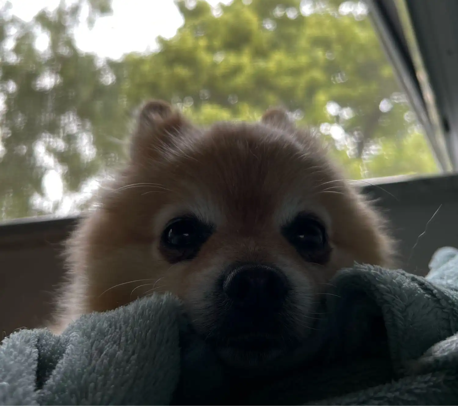 image-6