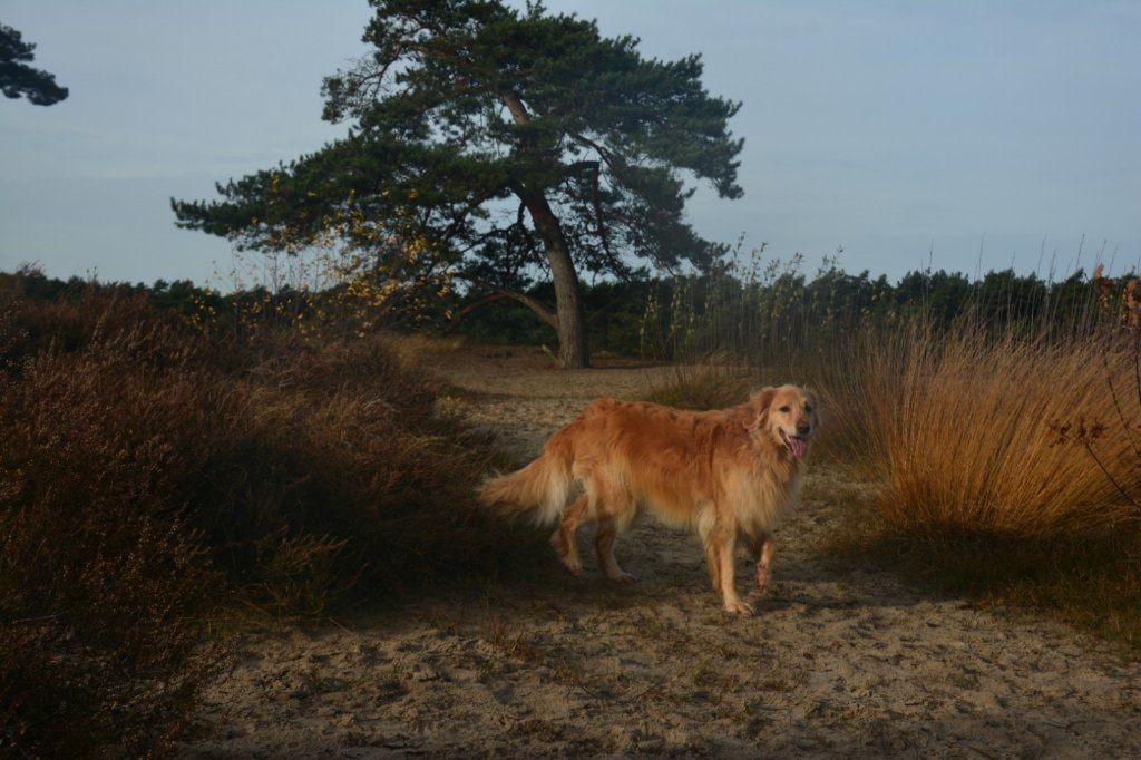 image-43