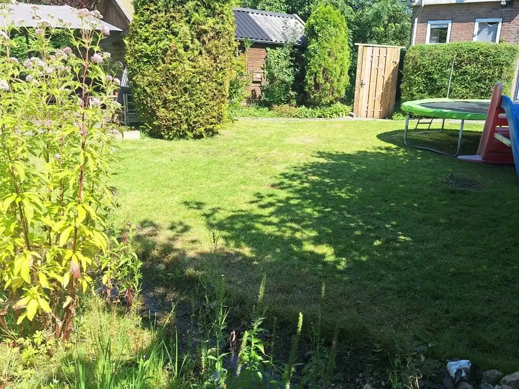 image-14