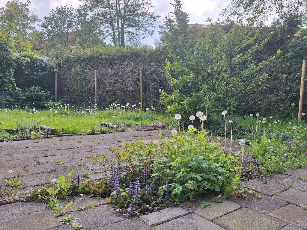 image-18
