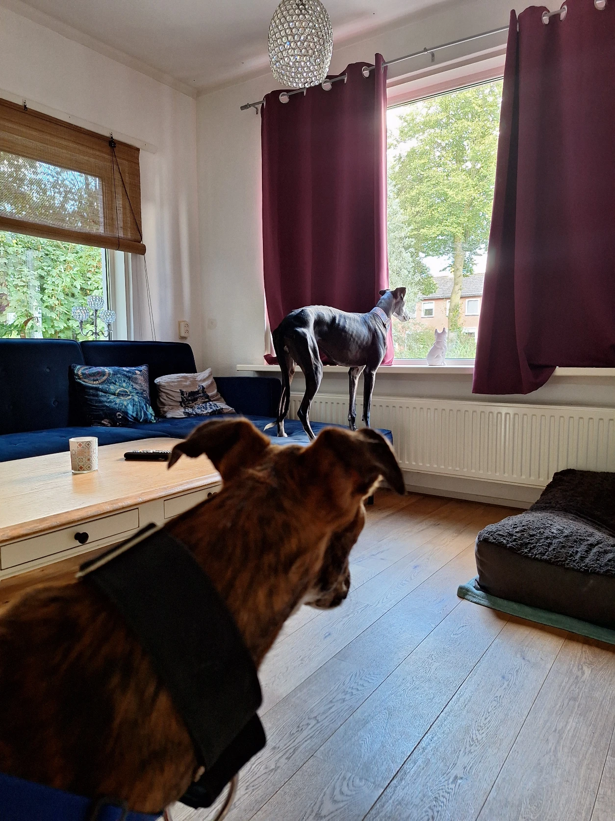 image-20