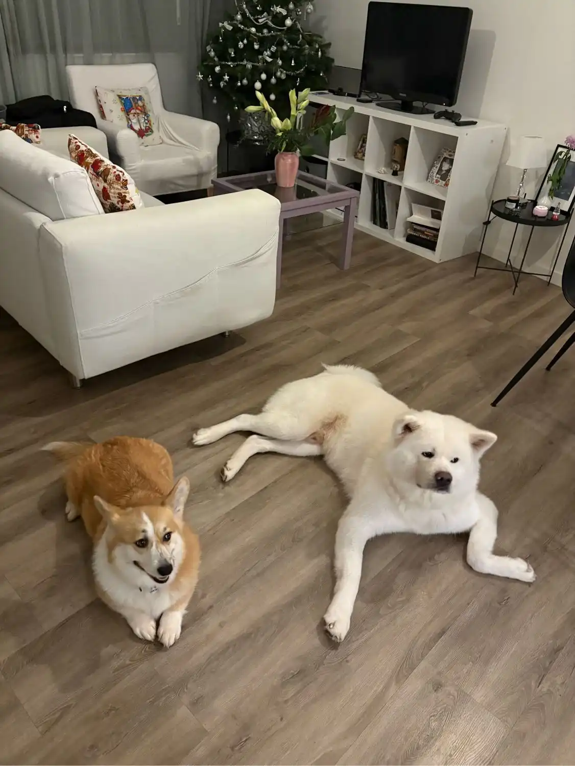 image-18