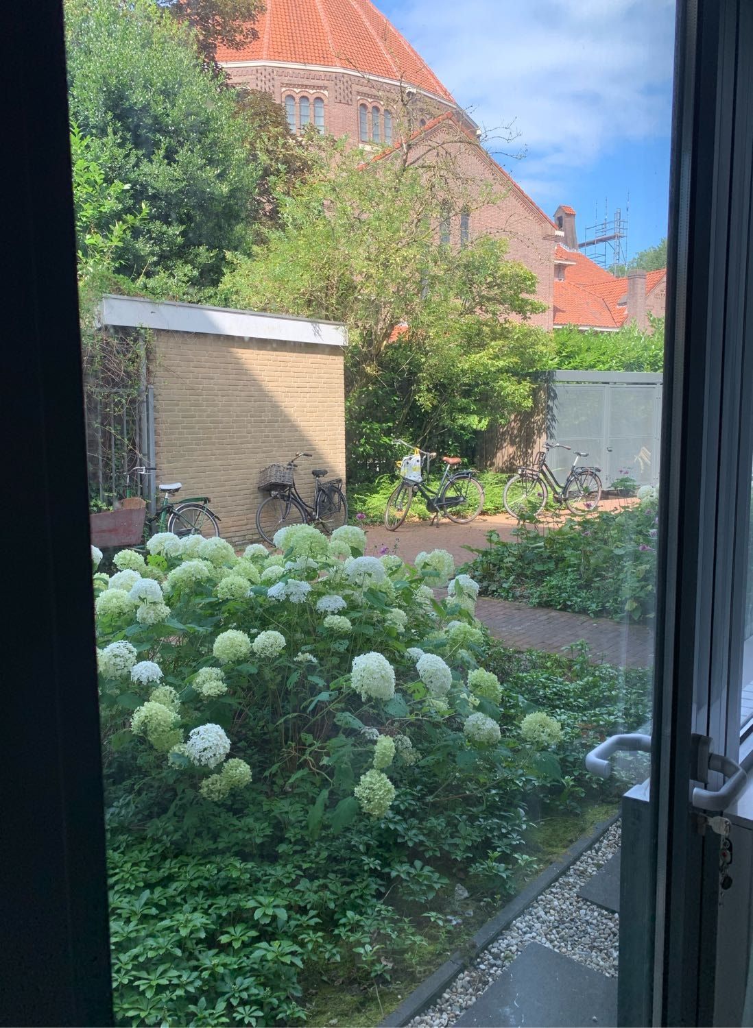 image-8