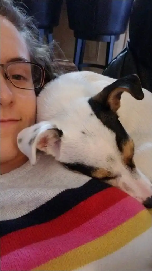 image-6