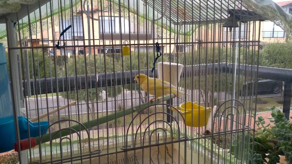image-7