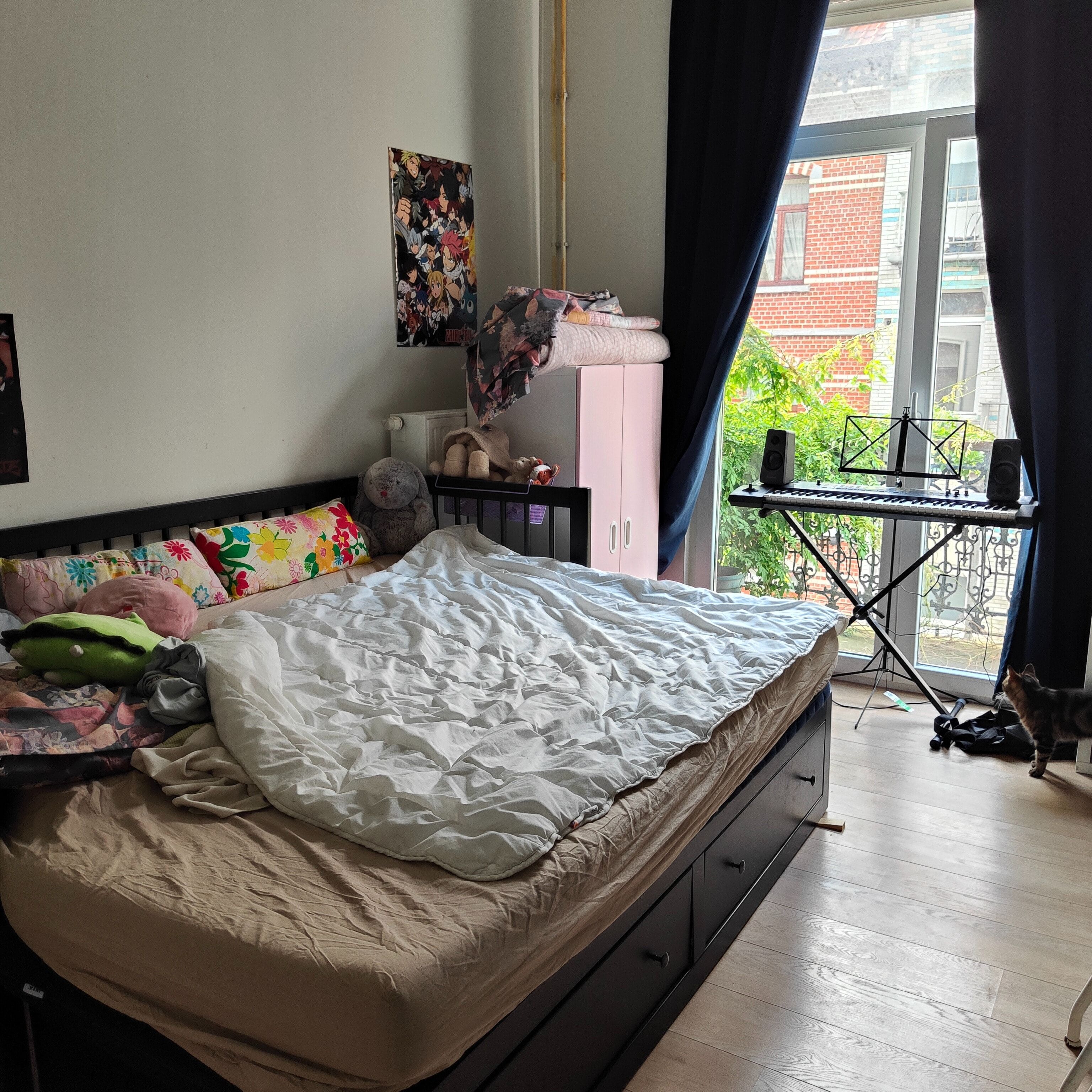 image-7