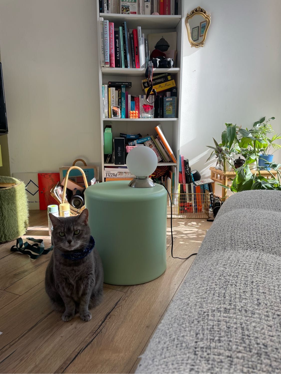 image-15