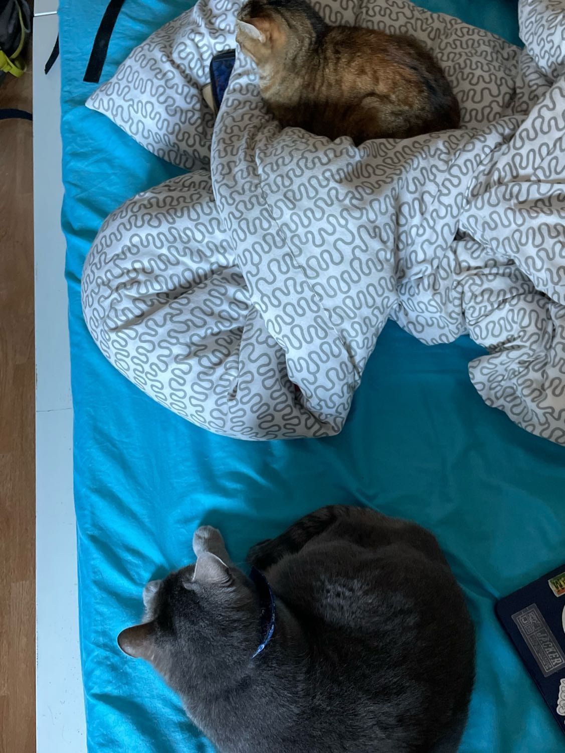 image-6