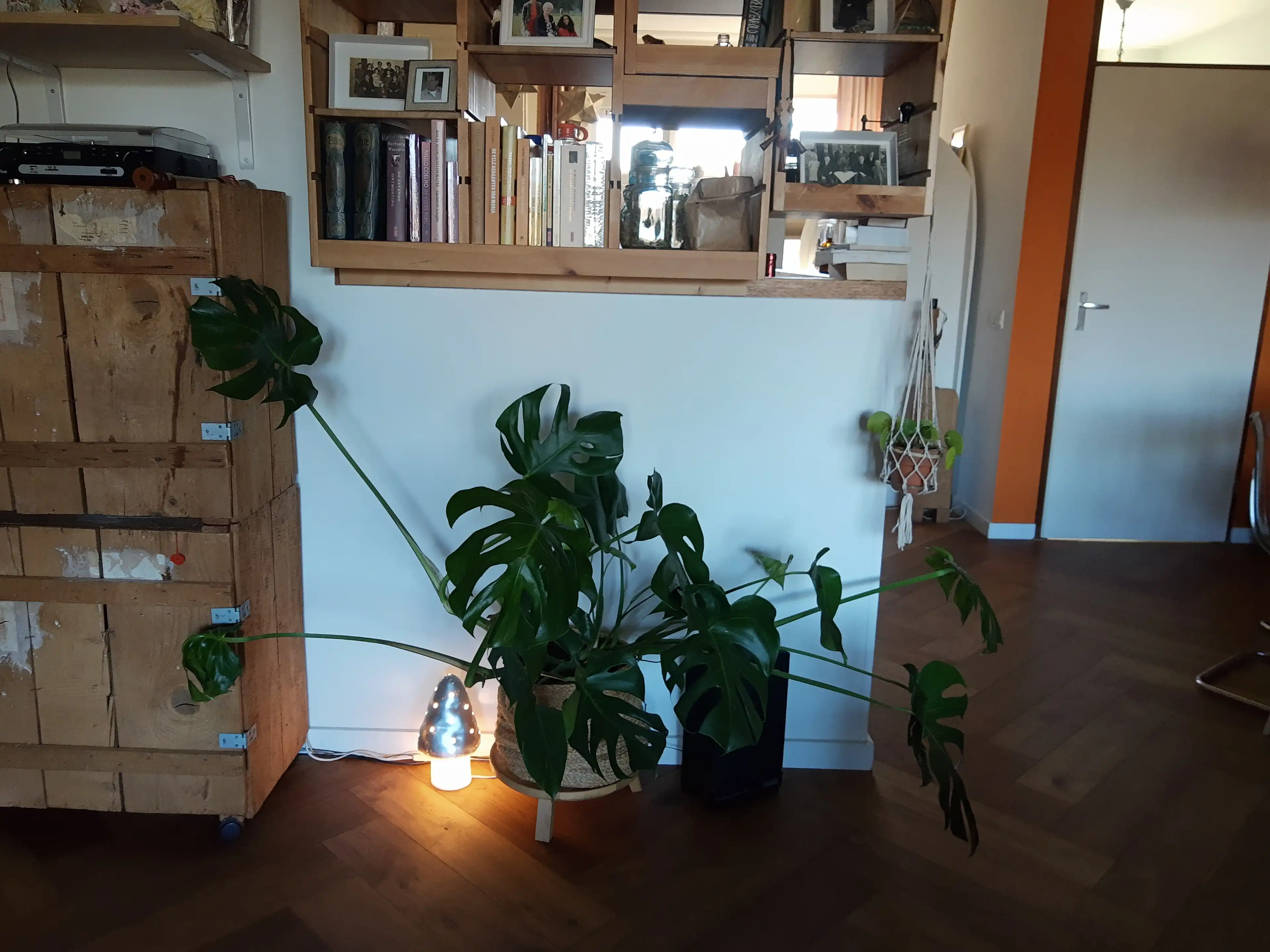 image-8