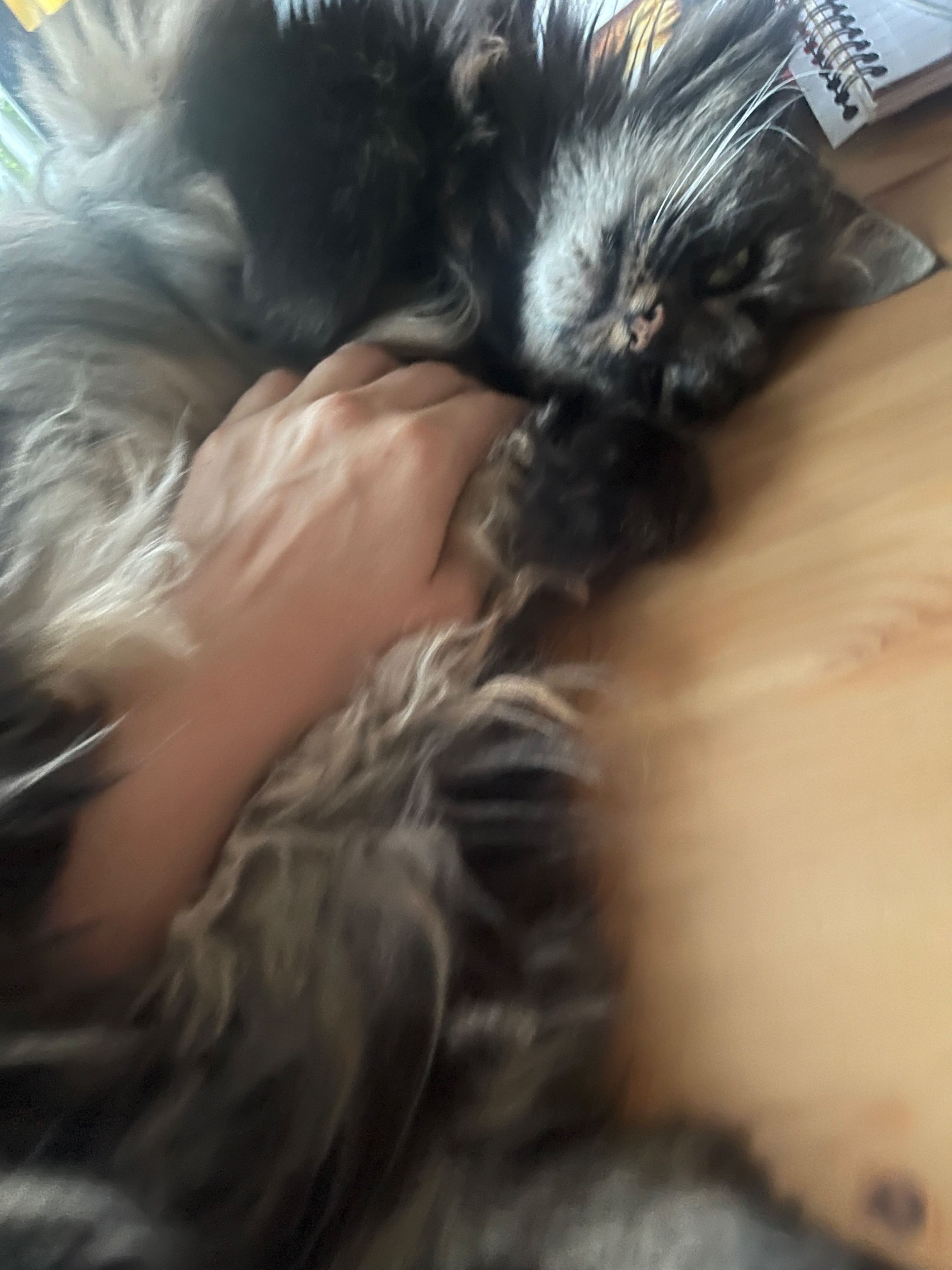 image-8