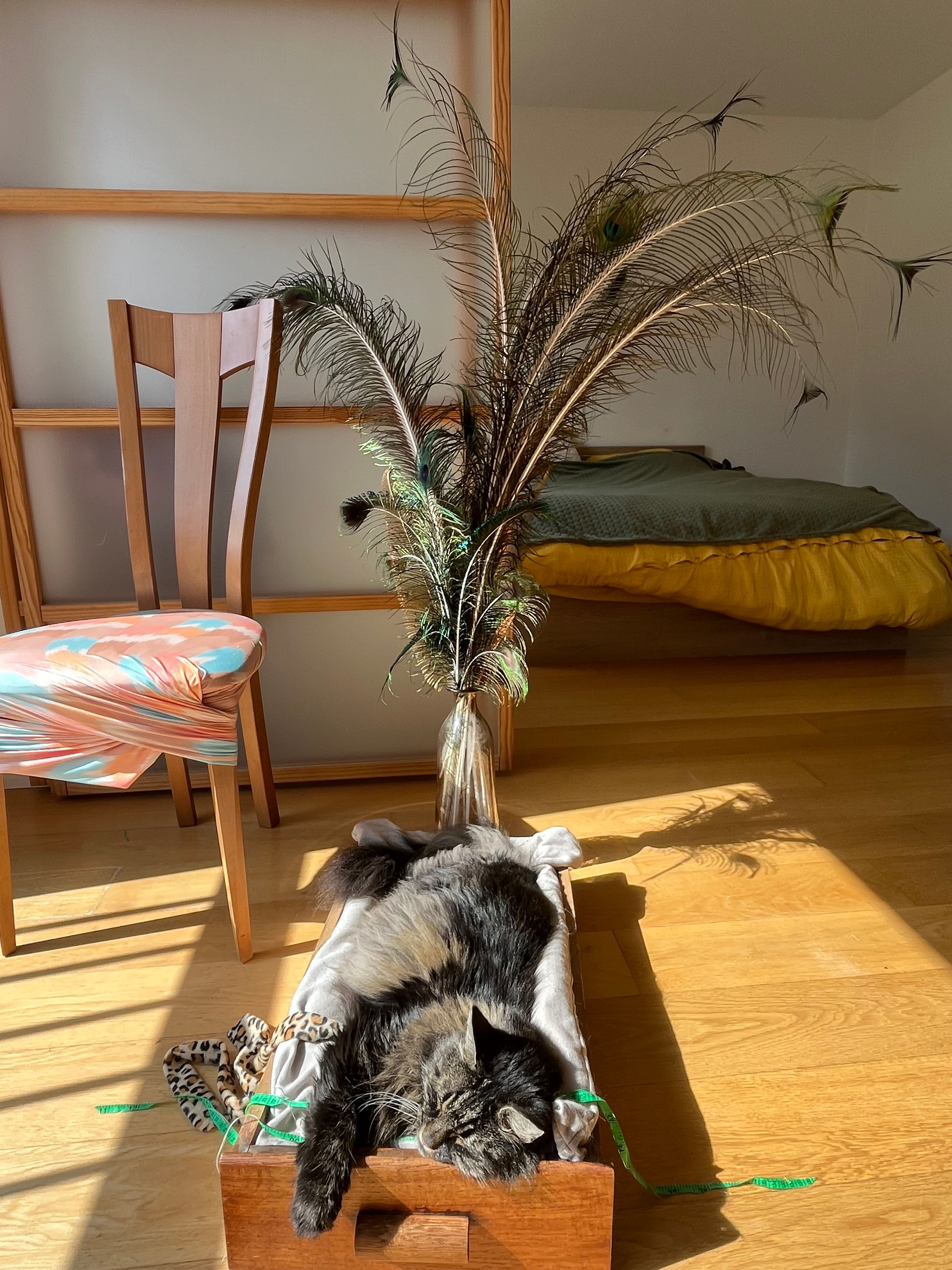 image-16