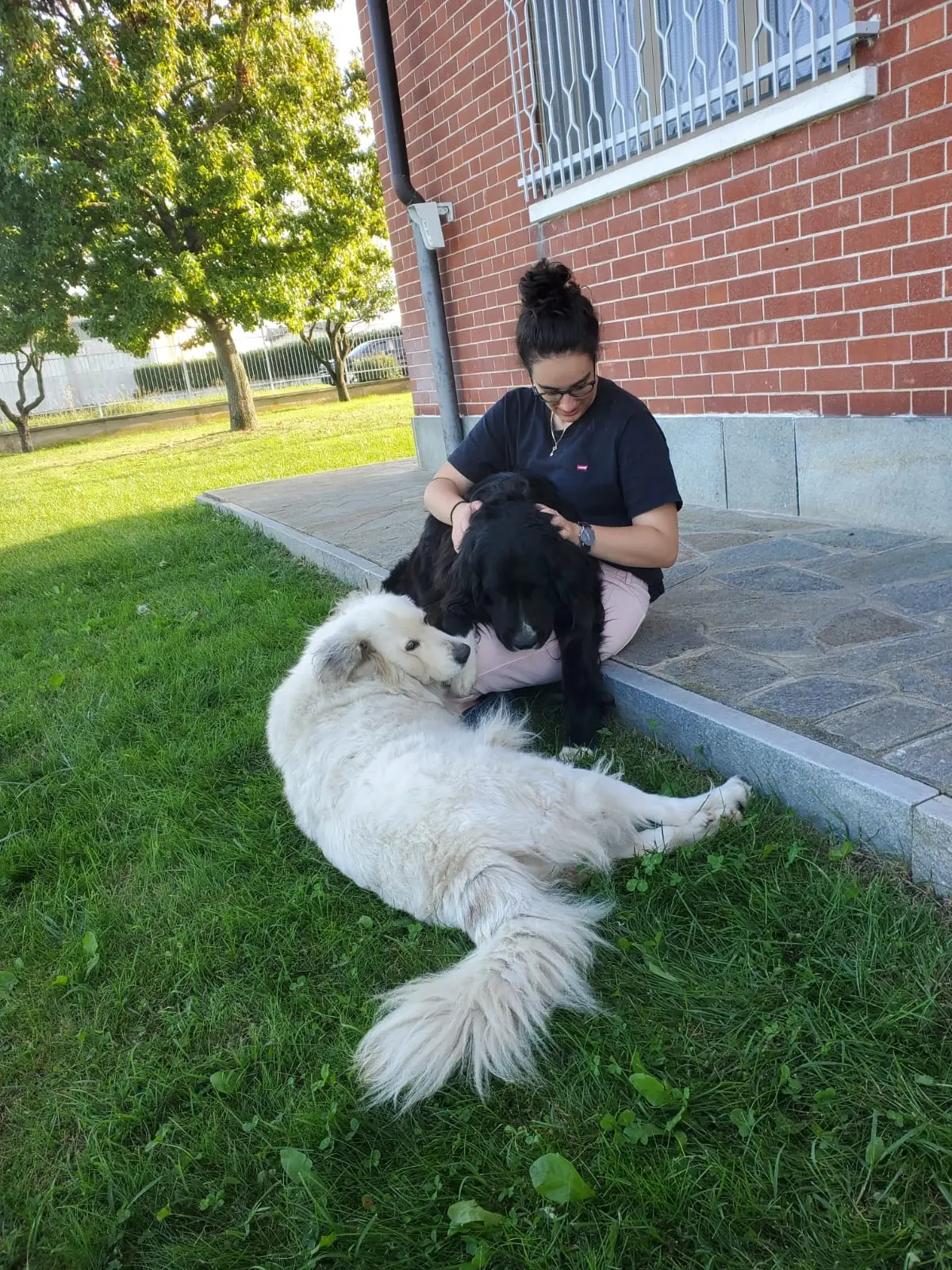 image-2