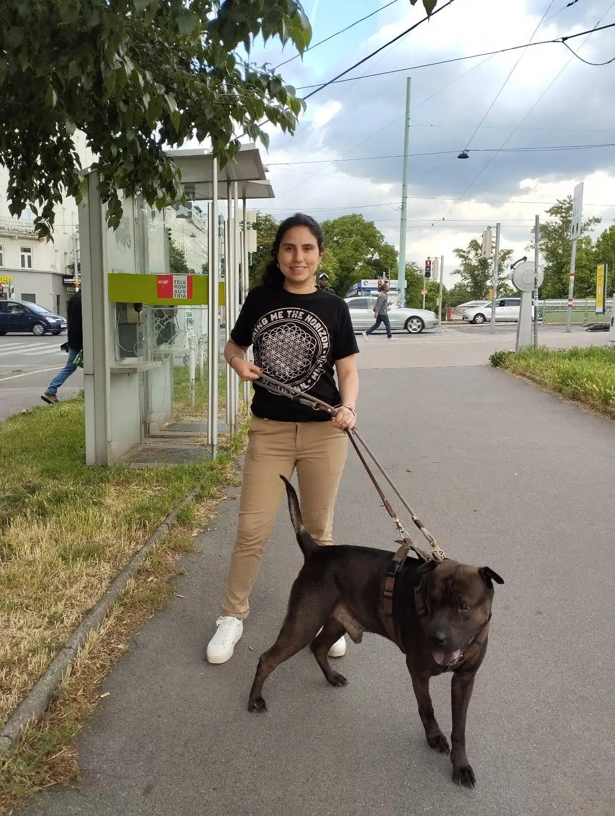image-14