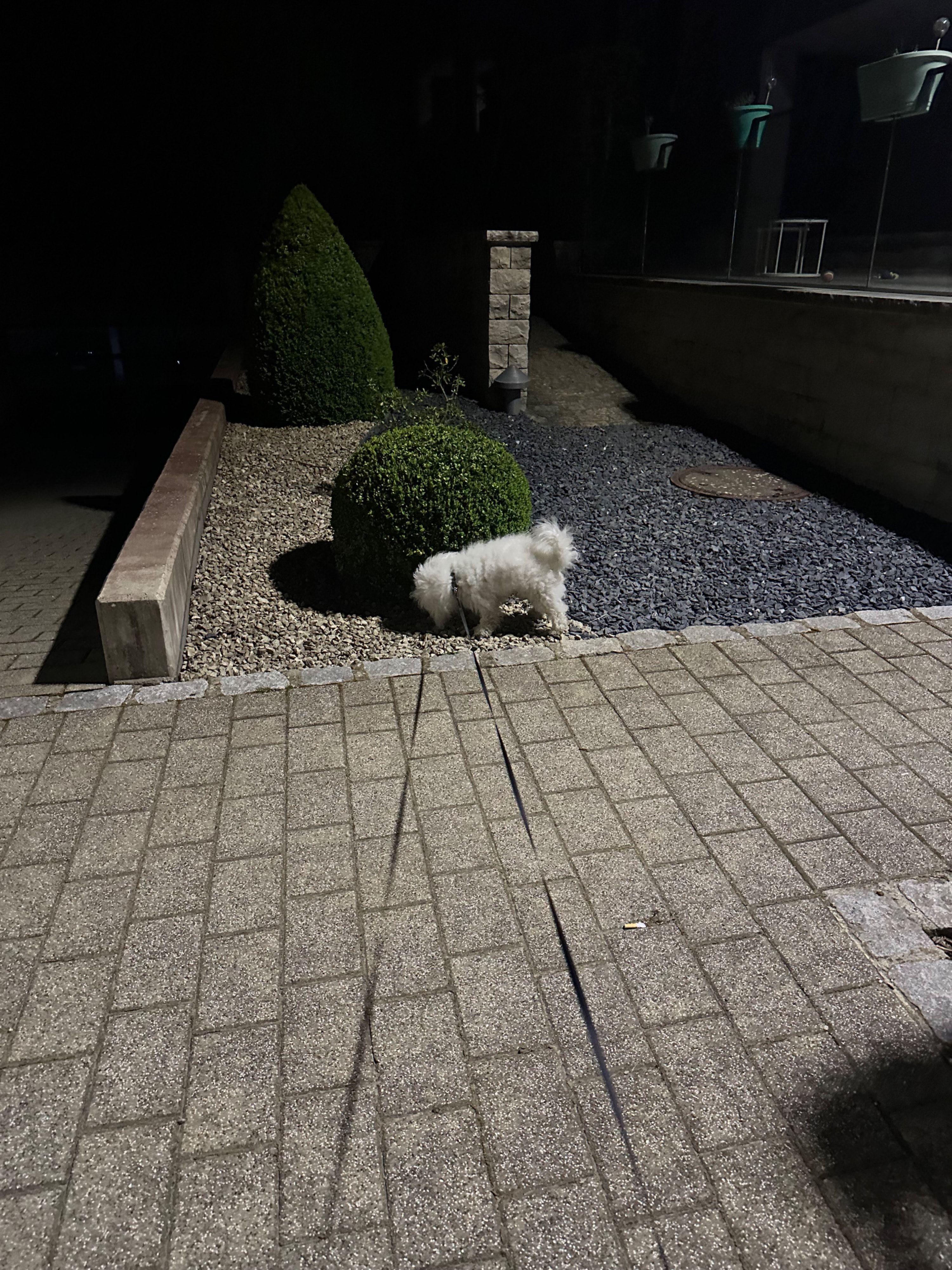 image-7