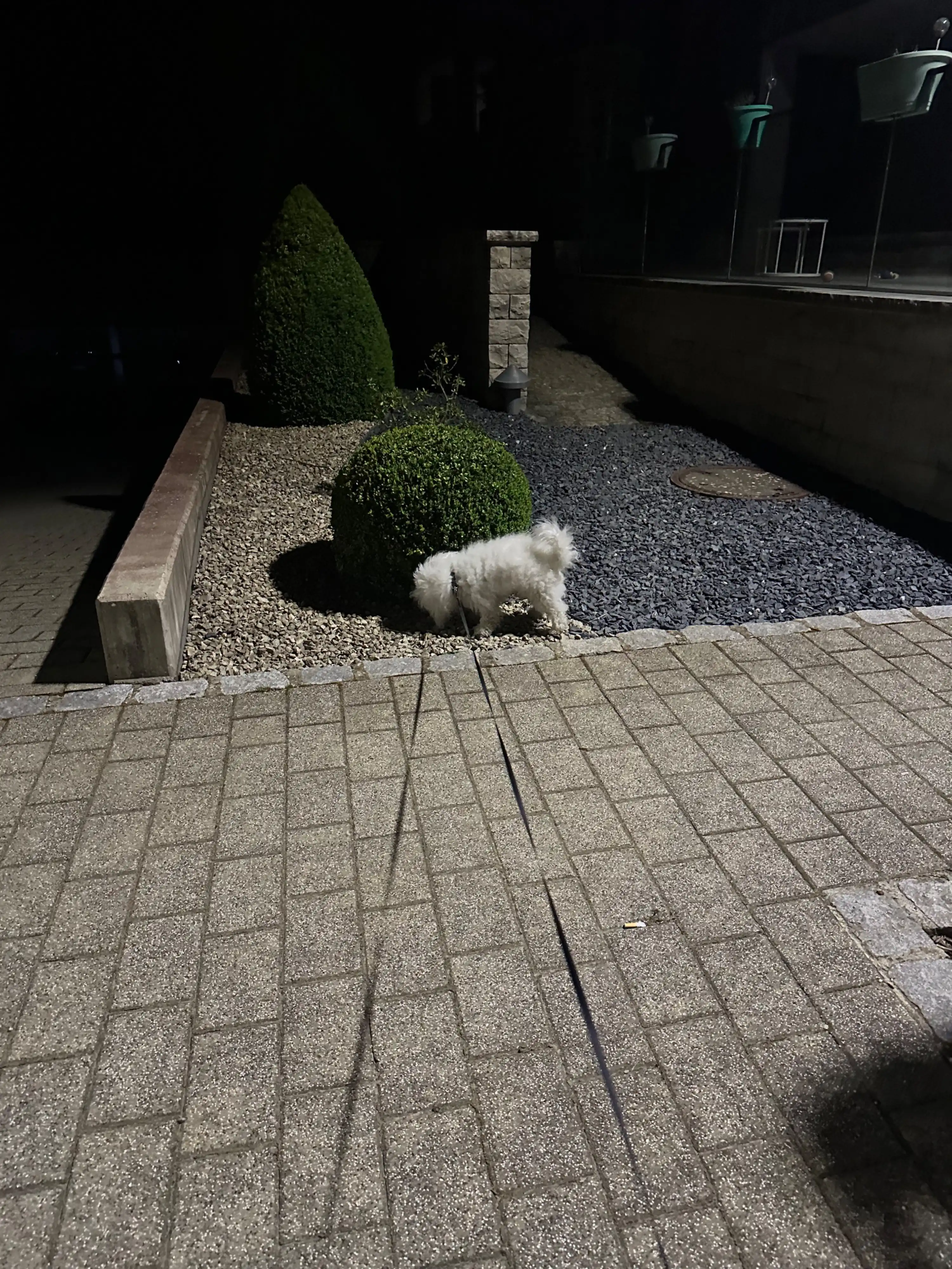 image-7