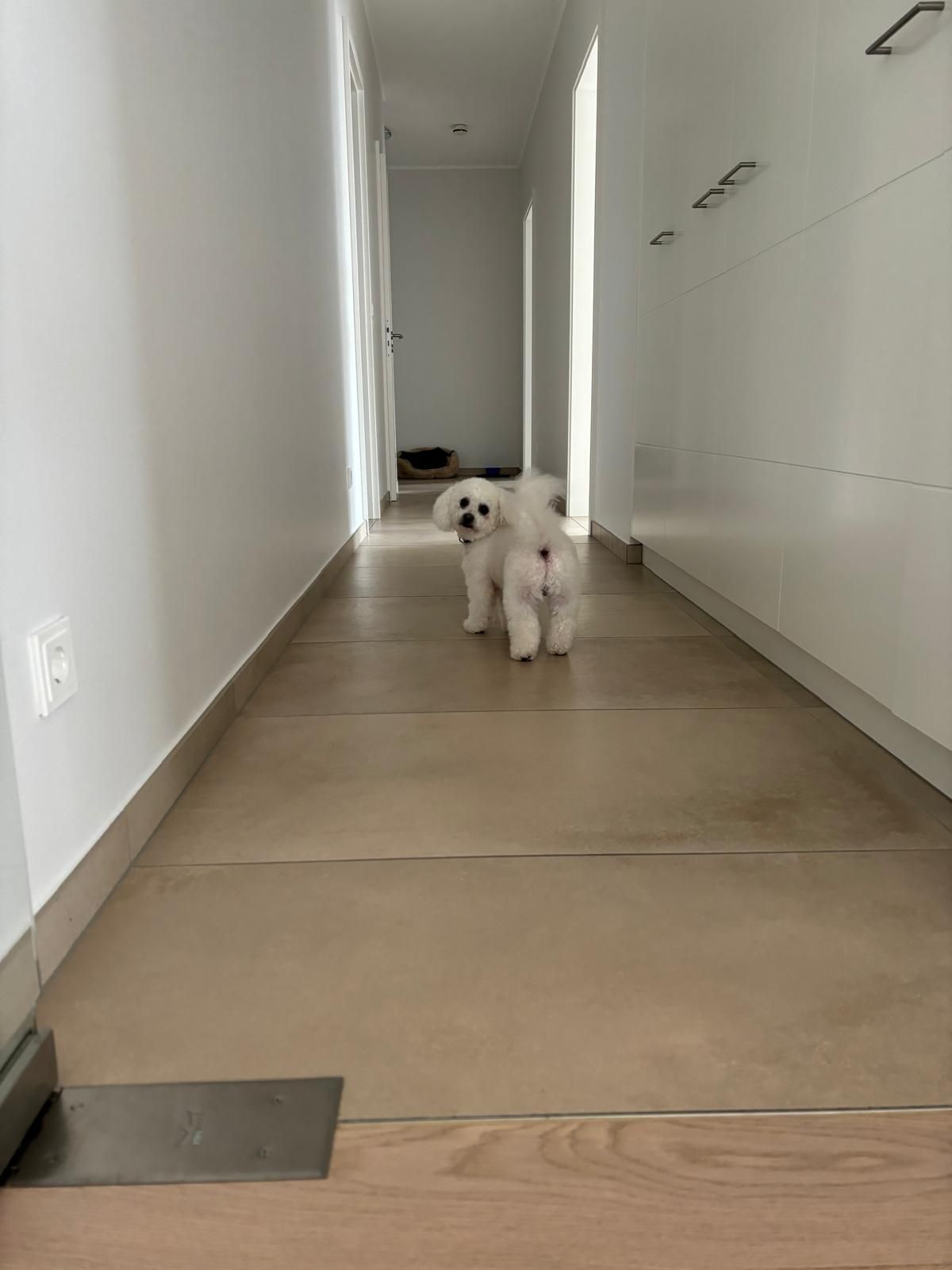 image-18