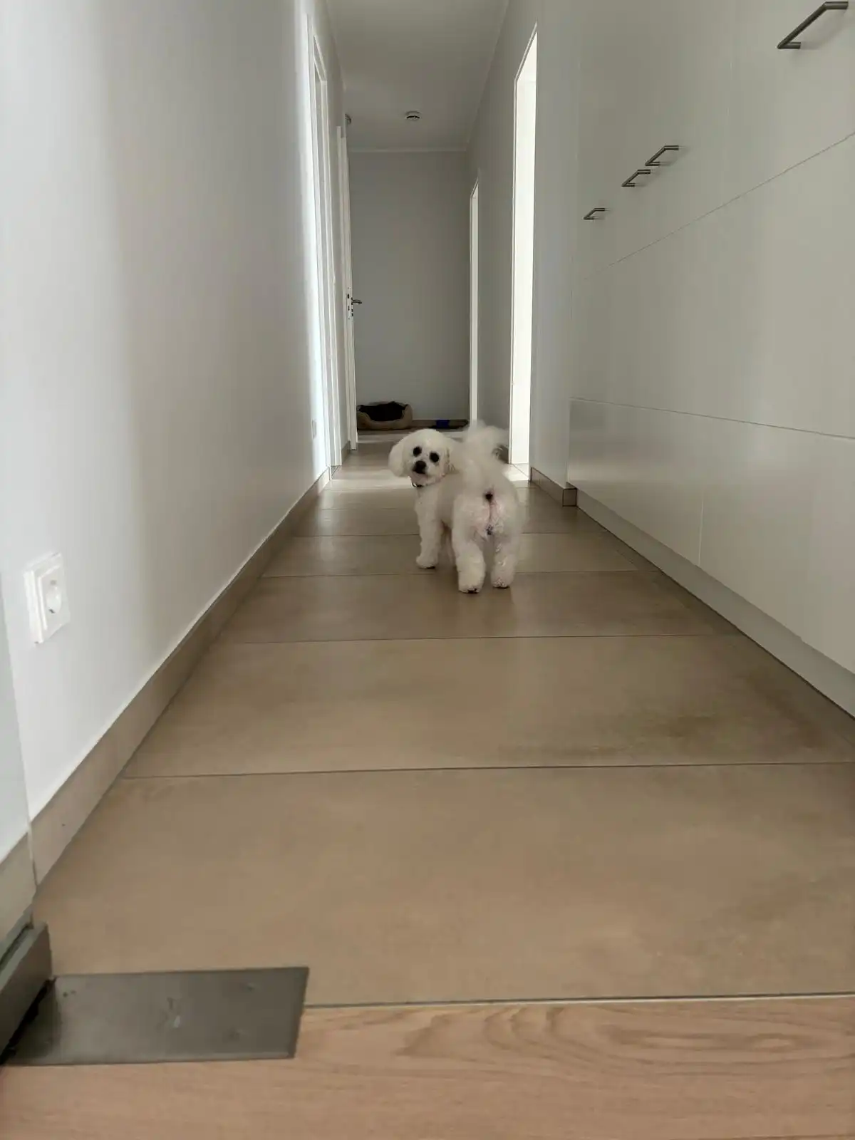 image-18
