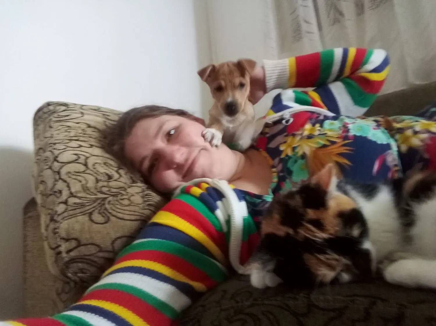 image-3